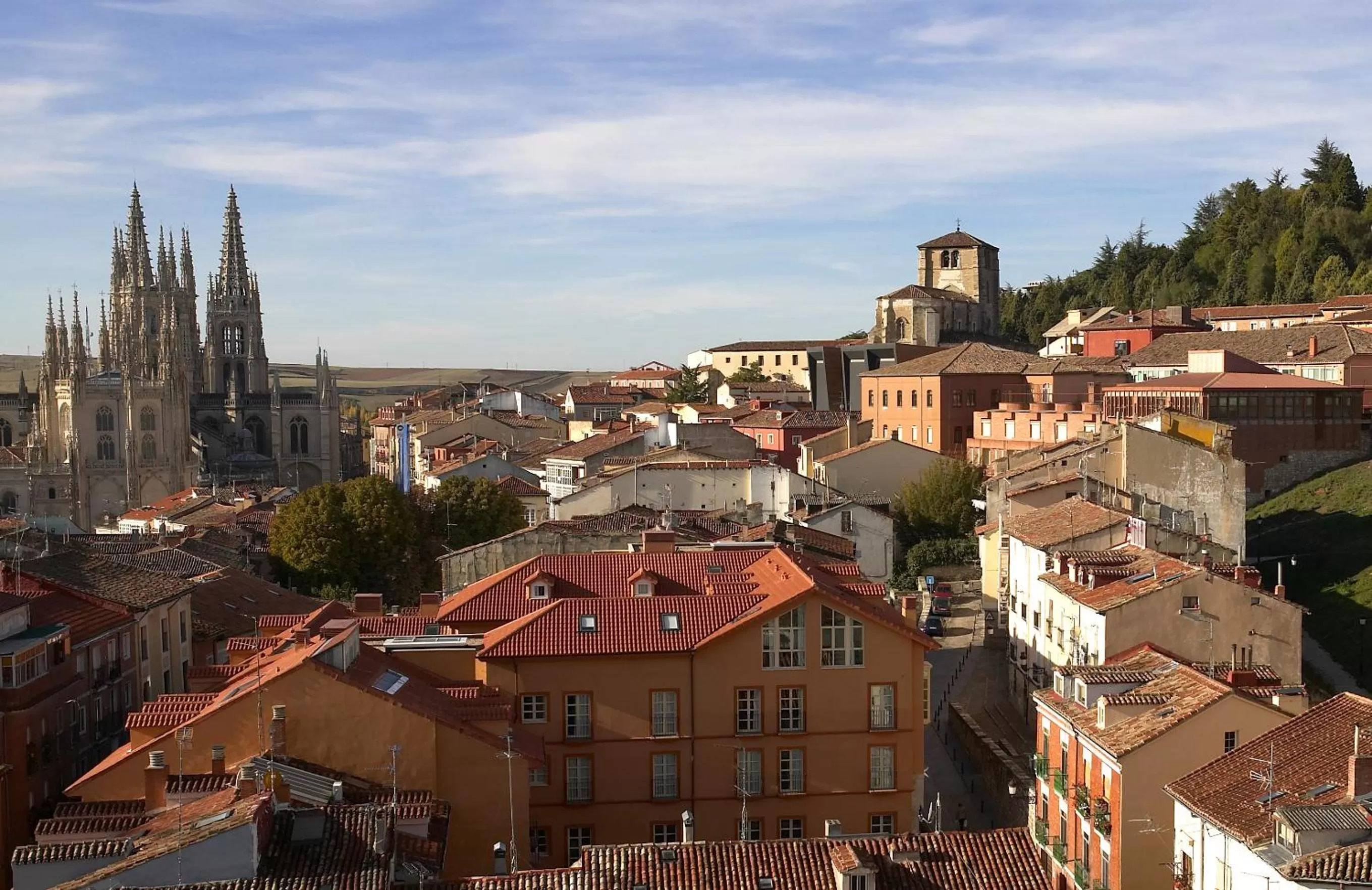 Neighbourhood in RICE Palacio de los Blasones