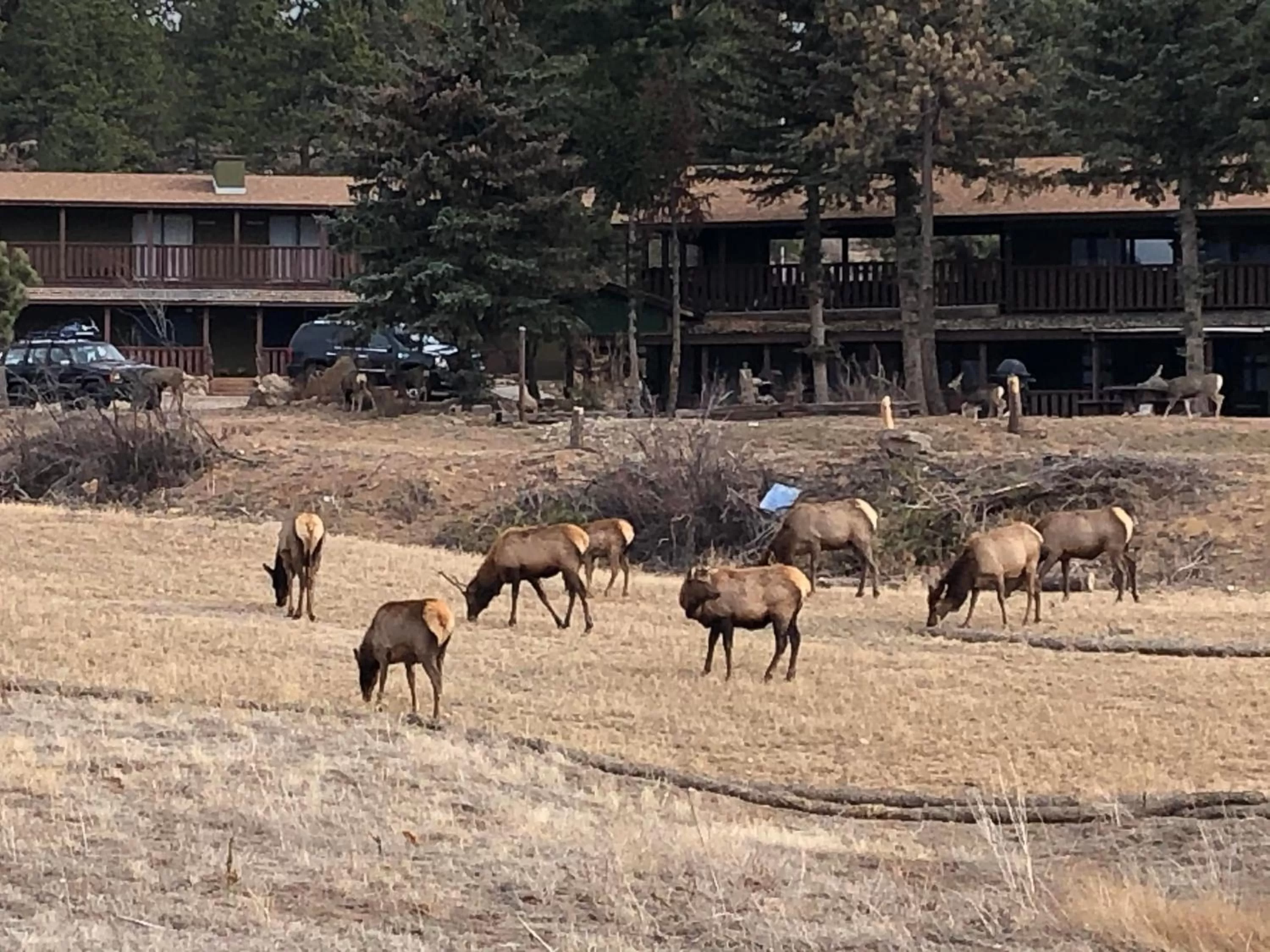 Estes Lake Lodge
