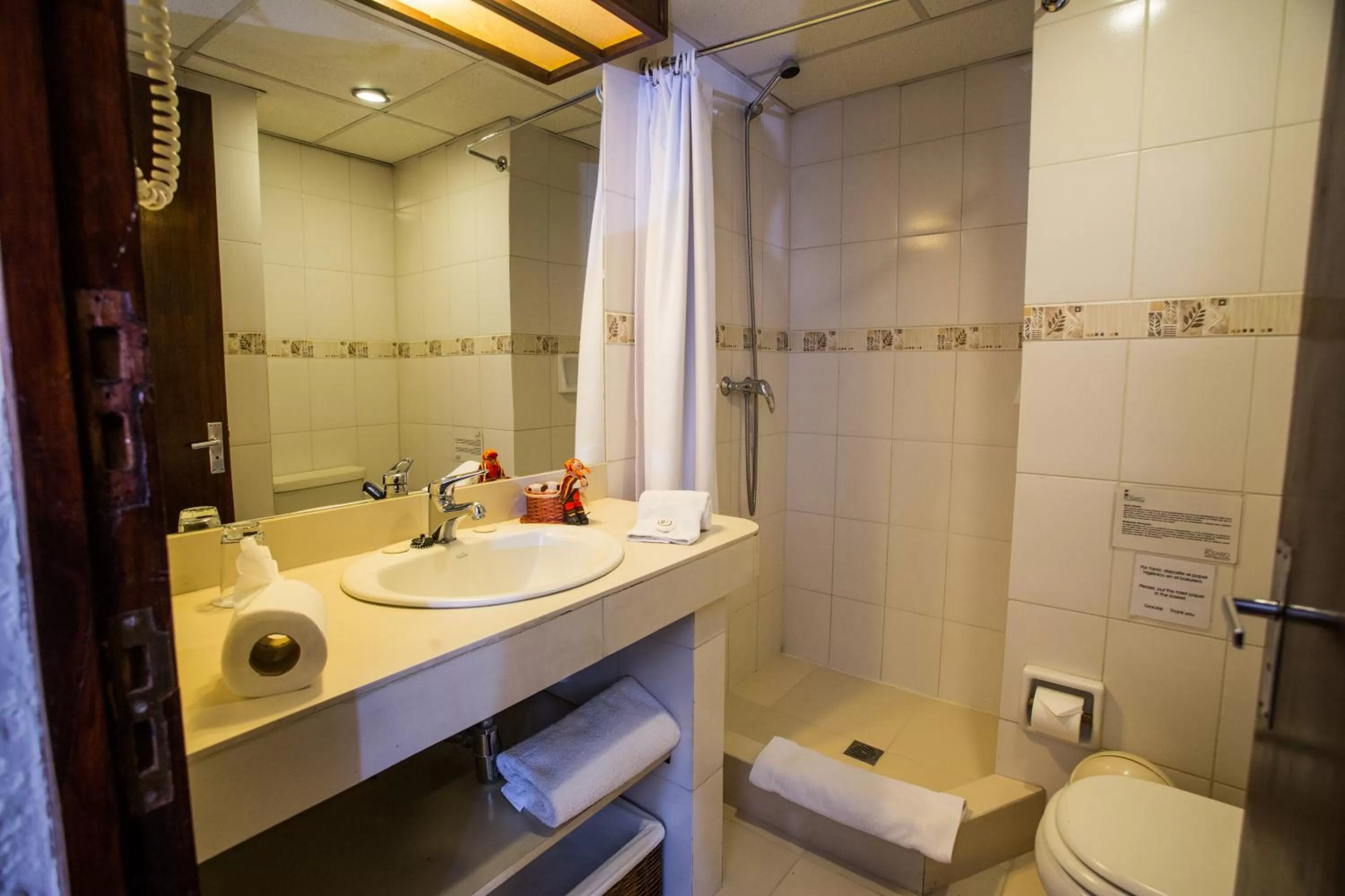 Bathroom in Hotel Rosario La Paz