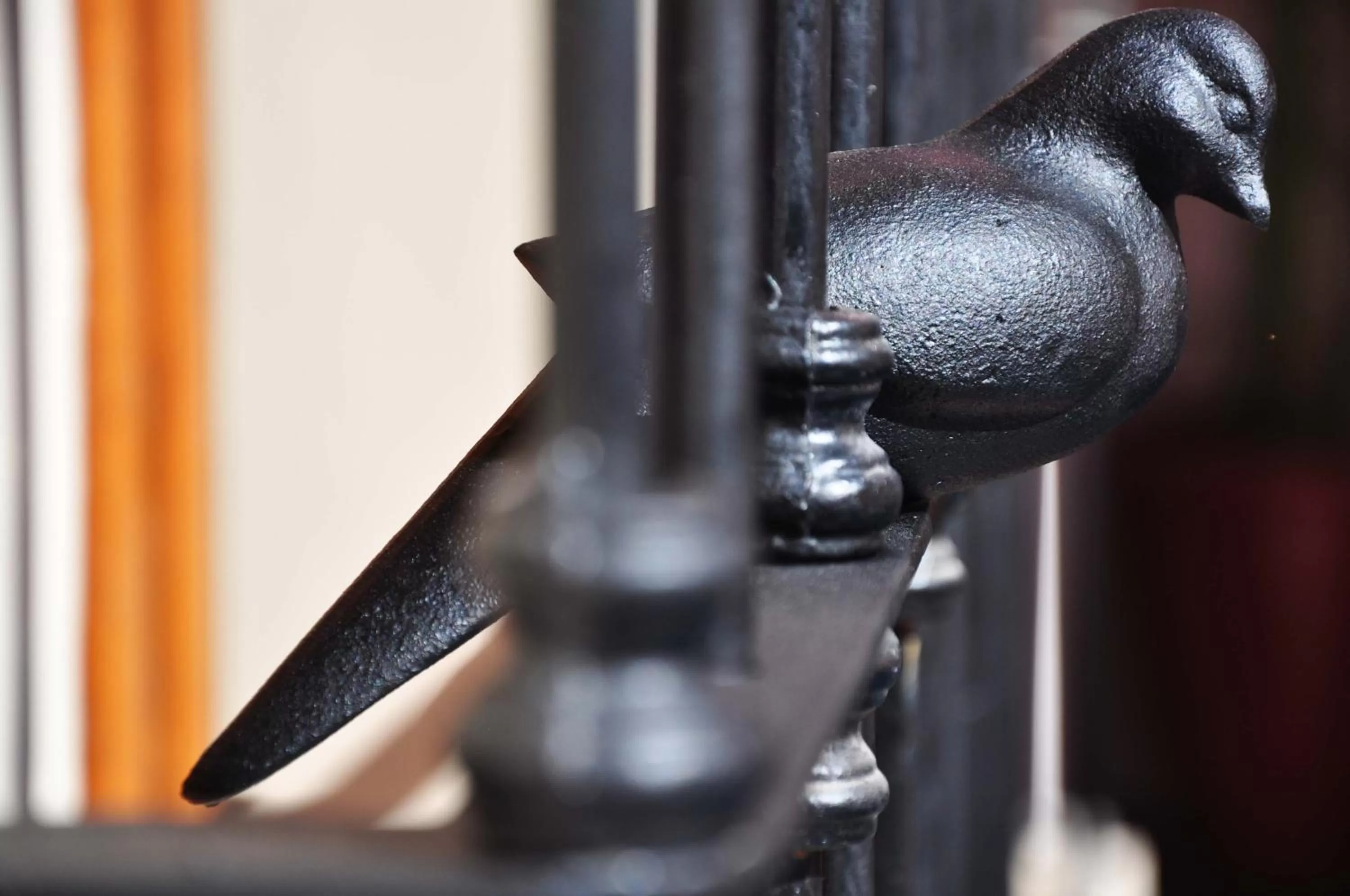 Gran Casa Sayula Galeria & SPA