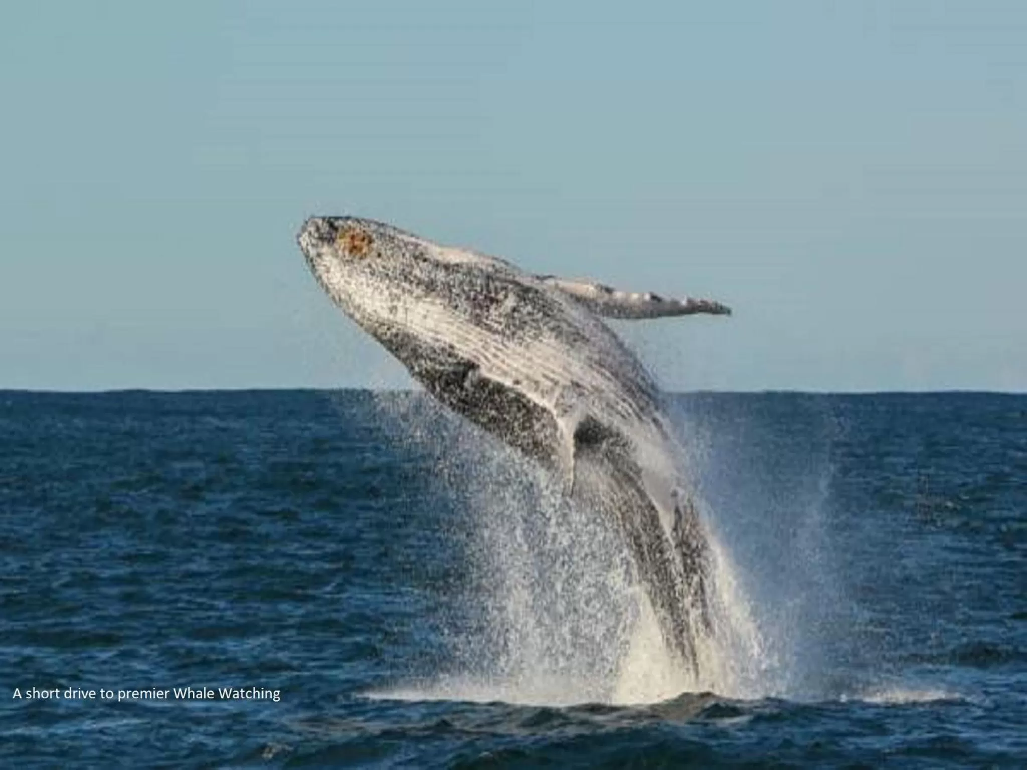 Natural landscape in Fern Bay Motel