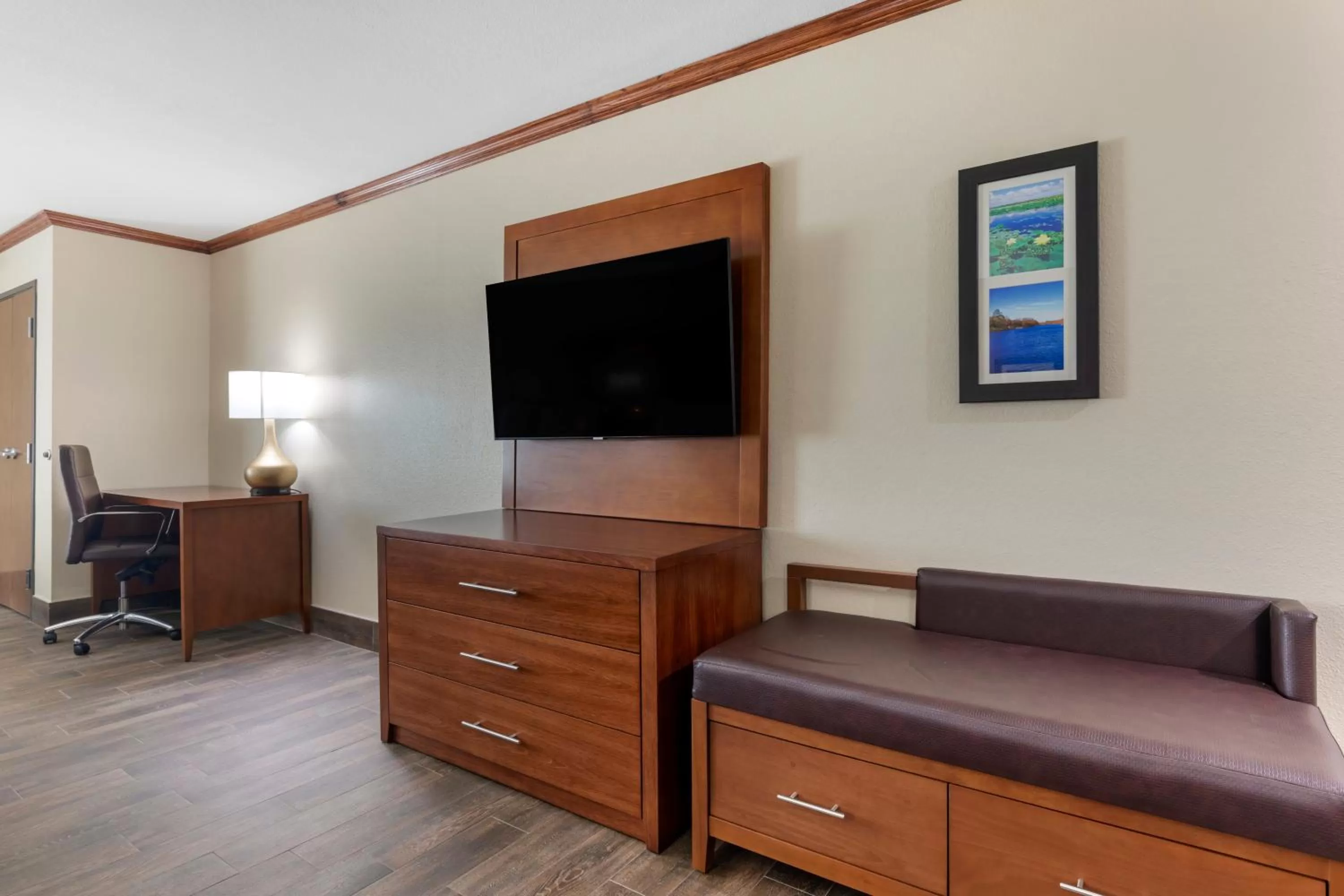 TV and multimedia in Comfort Suites West Monroe near Ike Hamilton Expo Center