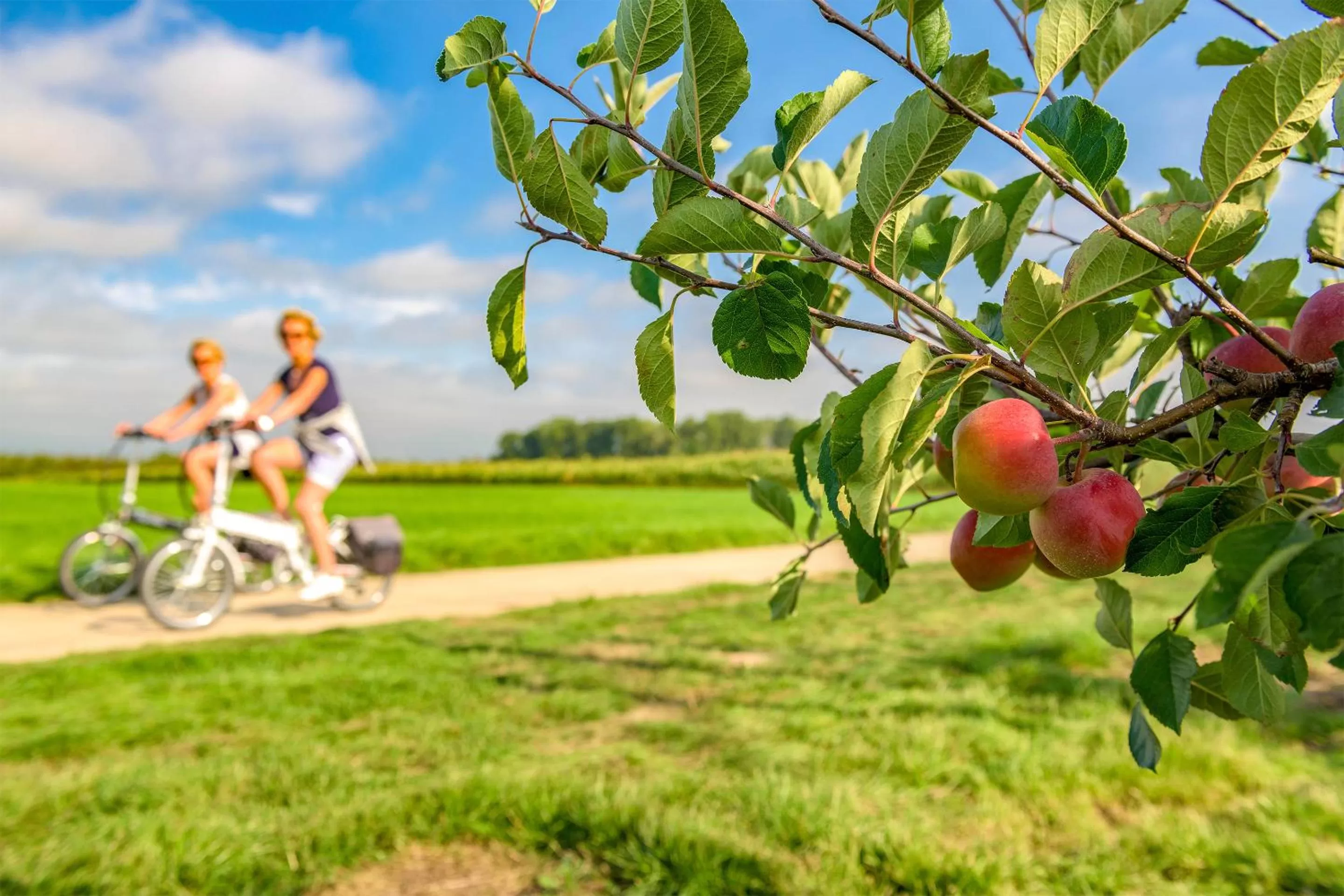 Natural landscape in Holiday Suites Limburg