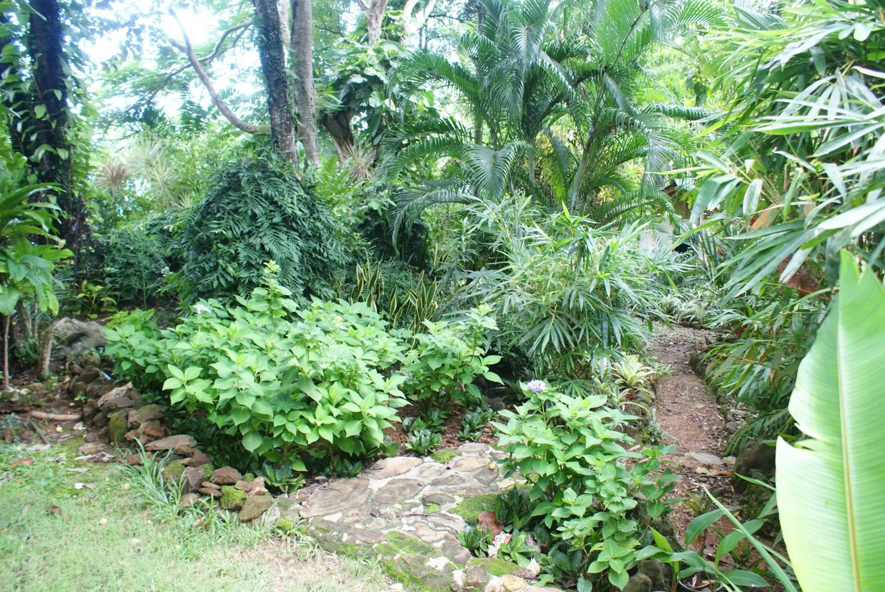 Garden in Rock Inn Bailan
