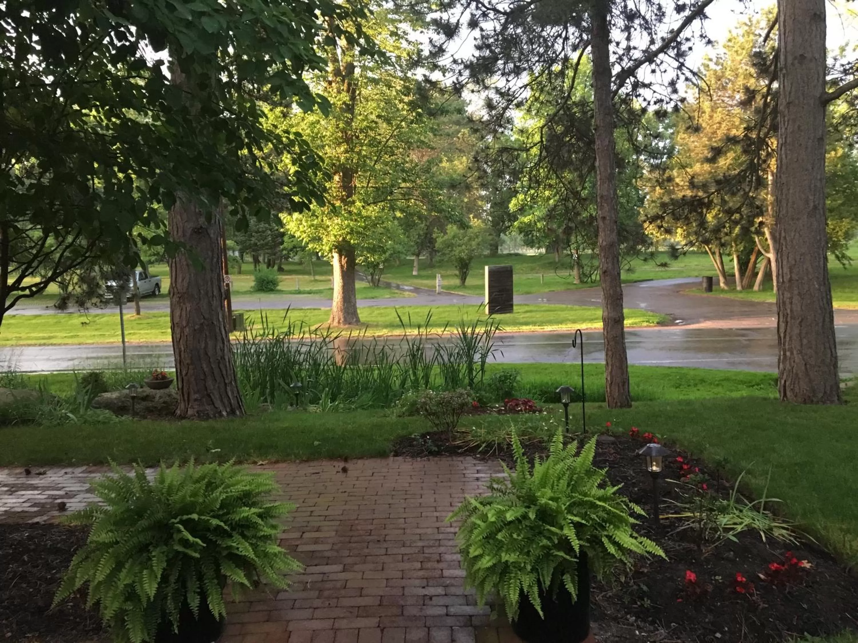 Natural landscape in Darlington House Bed and Breakfast