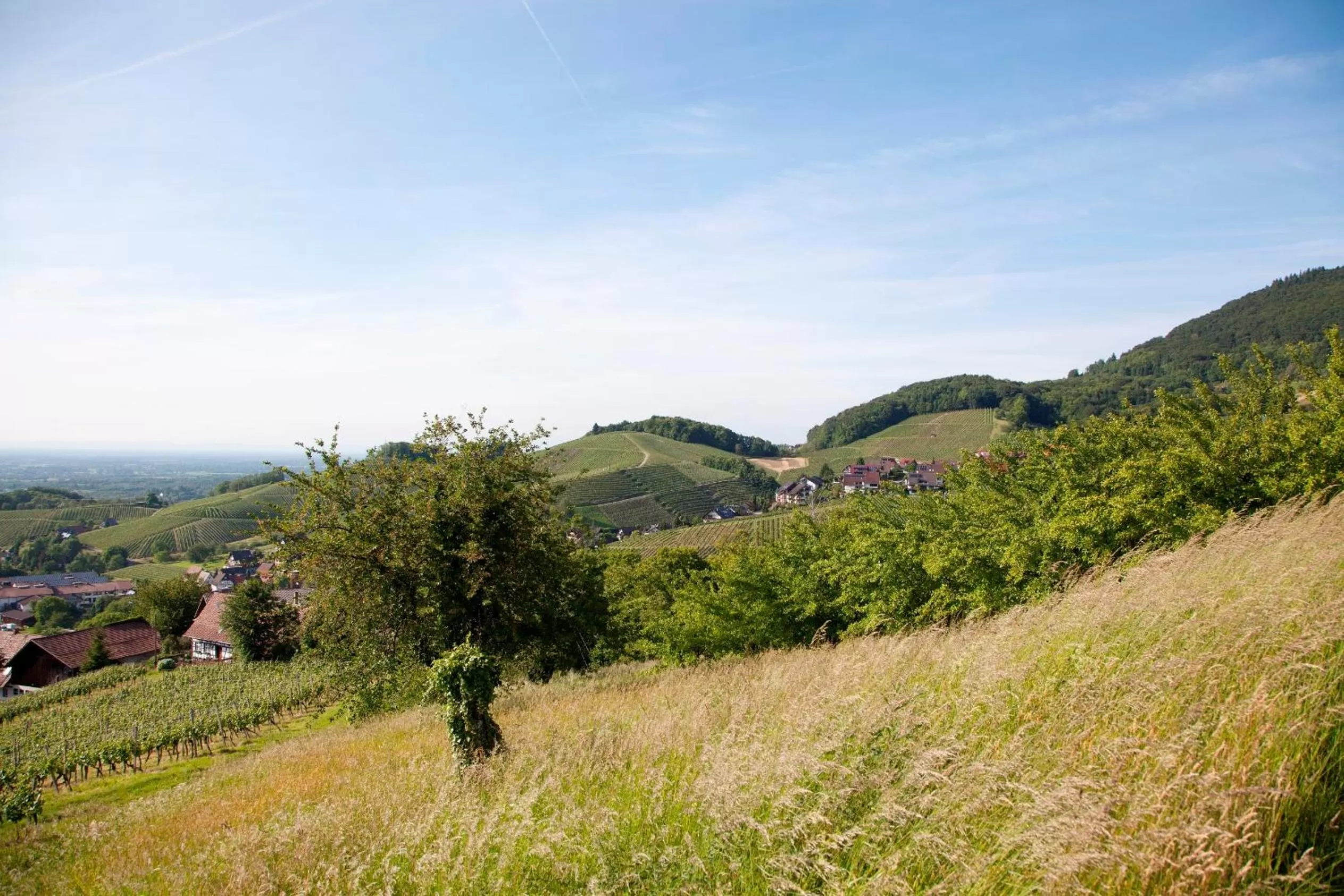 Natural landscape in Naturhotel Holzwurm