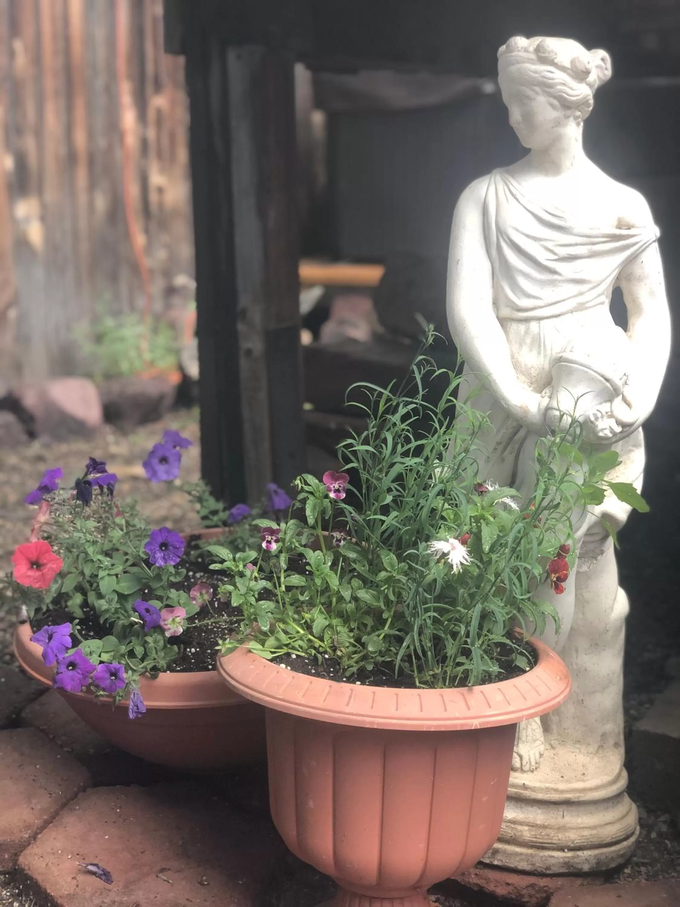 Property building in Villa Dallavalle Inn