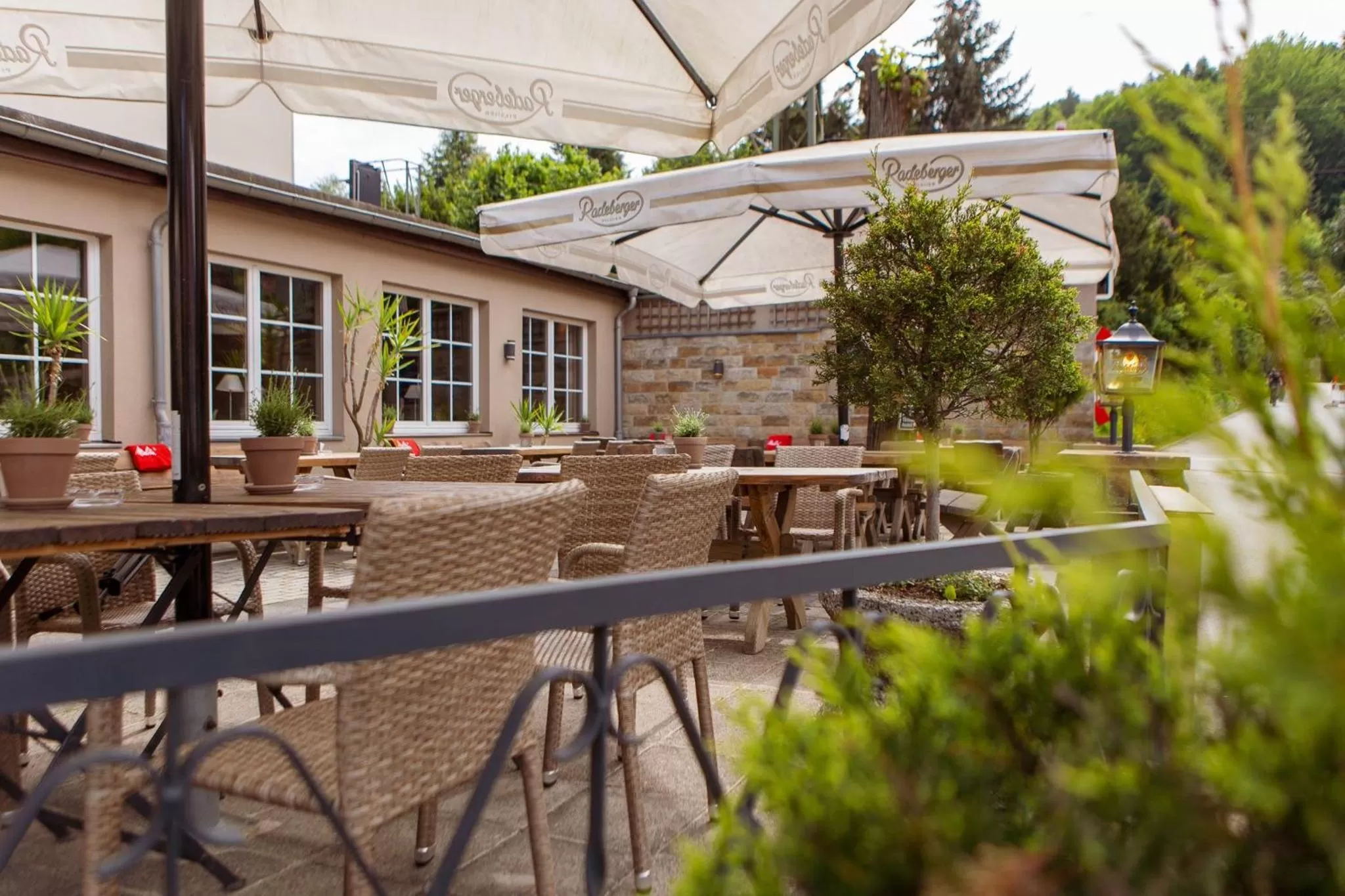 Restaurant/places to eat in Hotel Ettrich & Elbresort Rathen