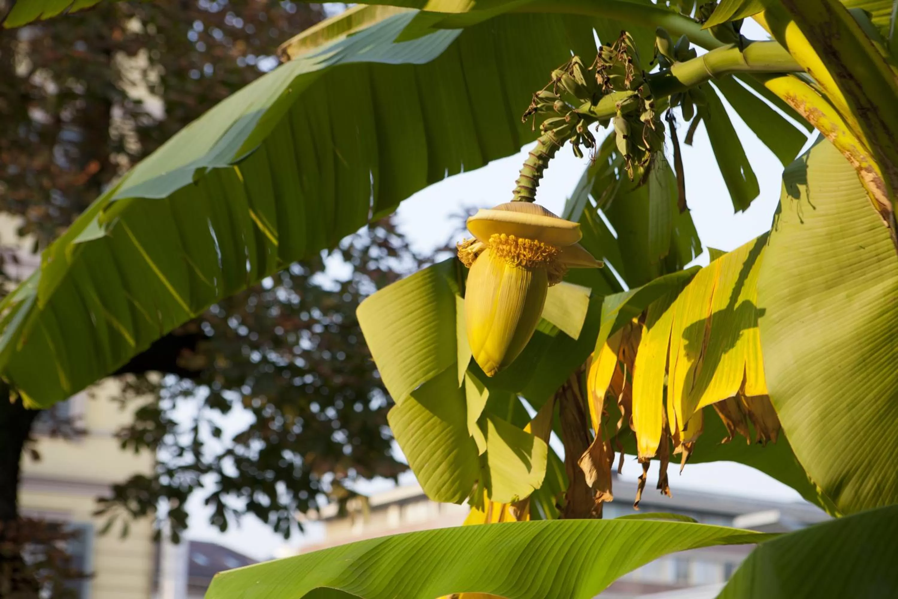 Decorative detail in Hotel Zurigo Downtown