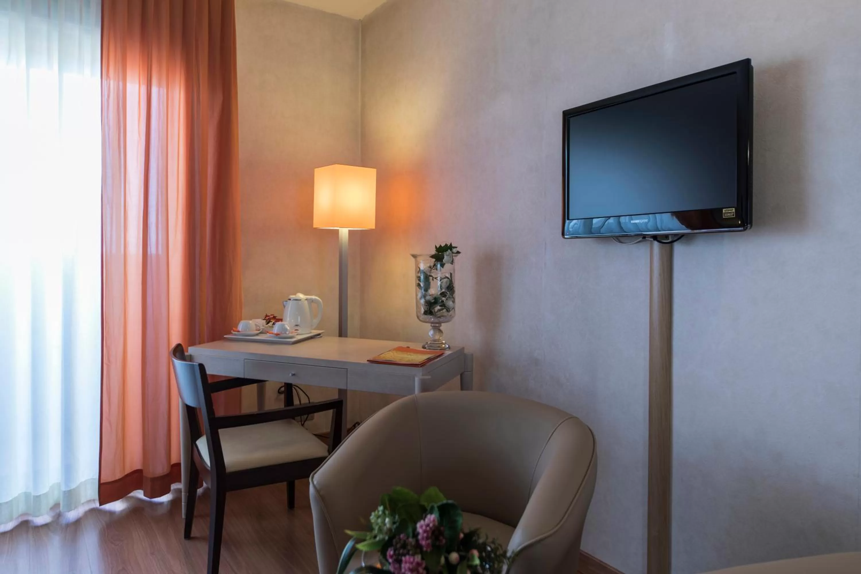 TV and multimedia in Hotel Donatello Imola