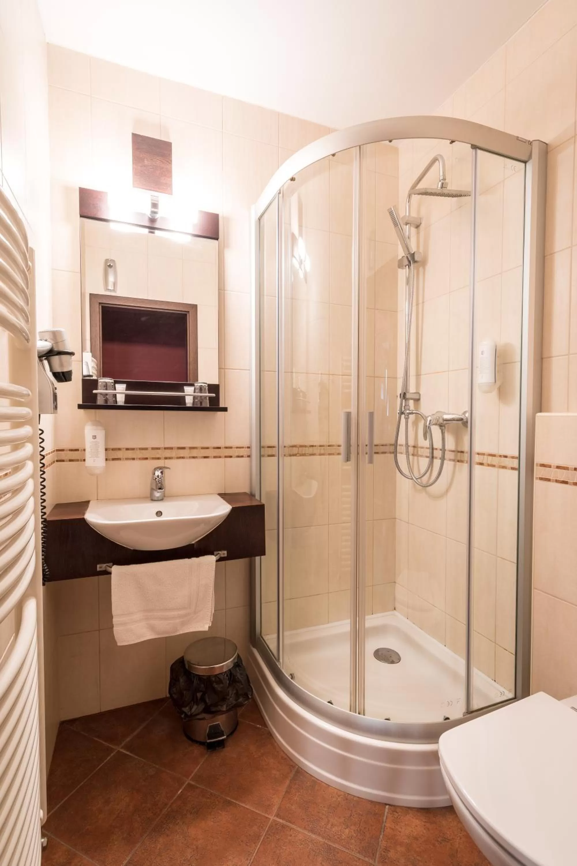 Bathroom in Hotel U Hejtmana Šarovce