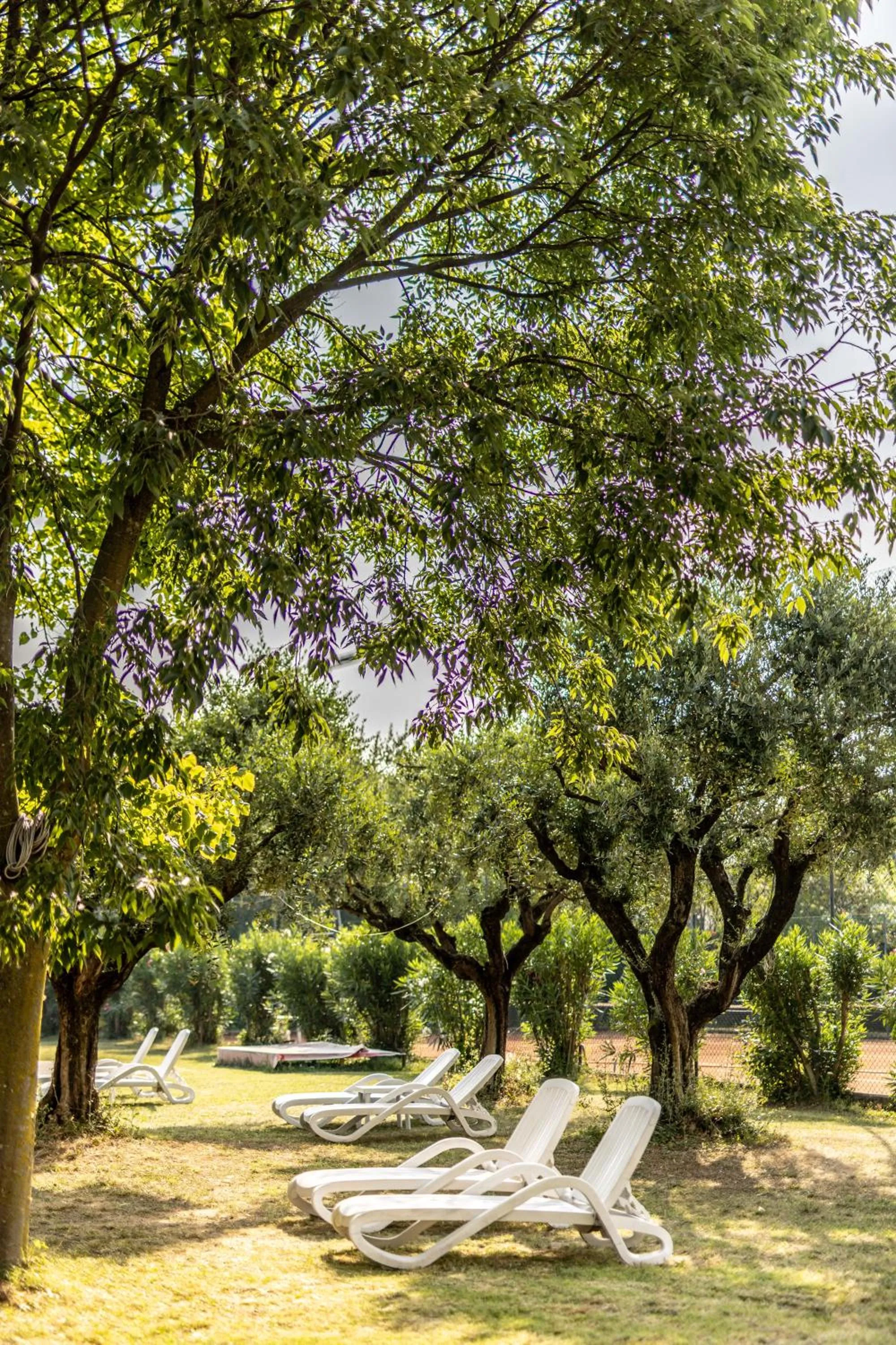 Garden in Hotel Terme Milano