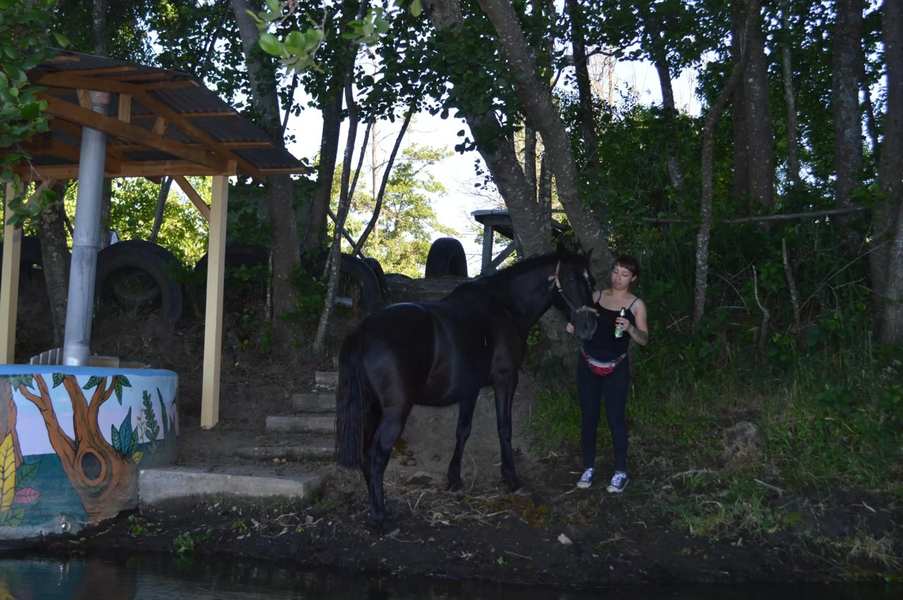 Other Animals in Coyunche Cabañas y Camping Laja & San Rosendo