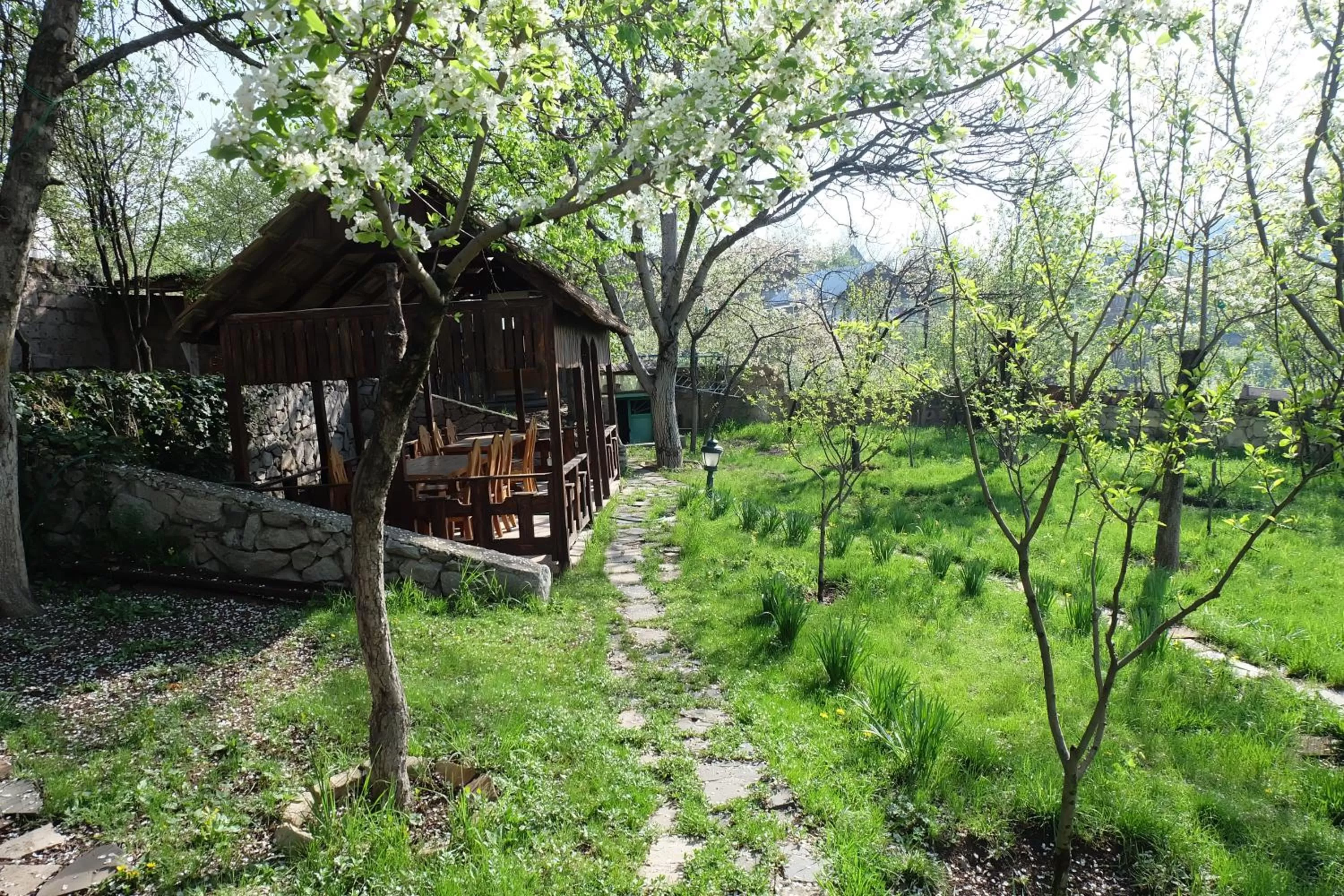 Garden in Dil Hill by Sam