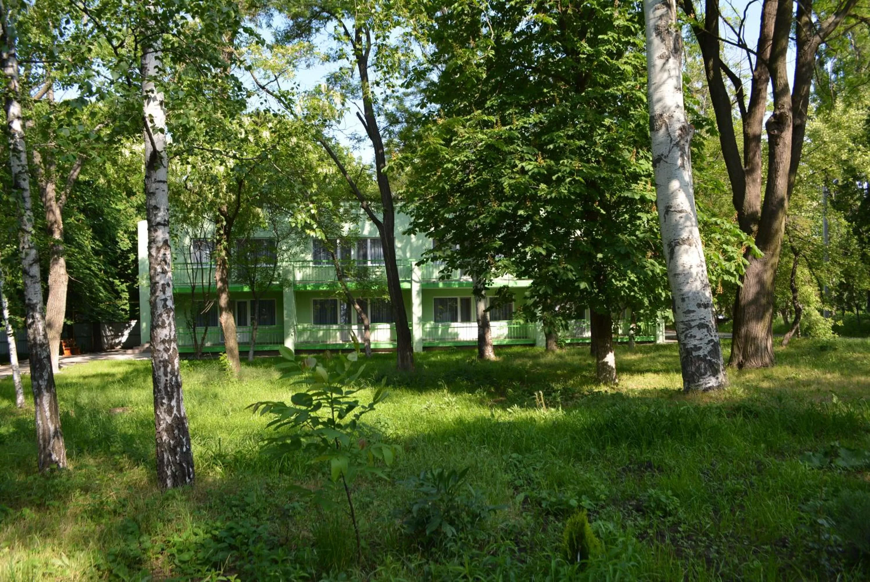 On site in Zelenyi Kampus