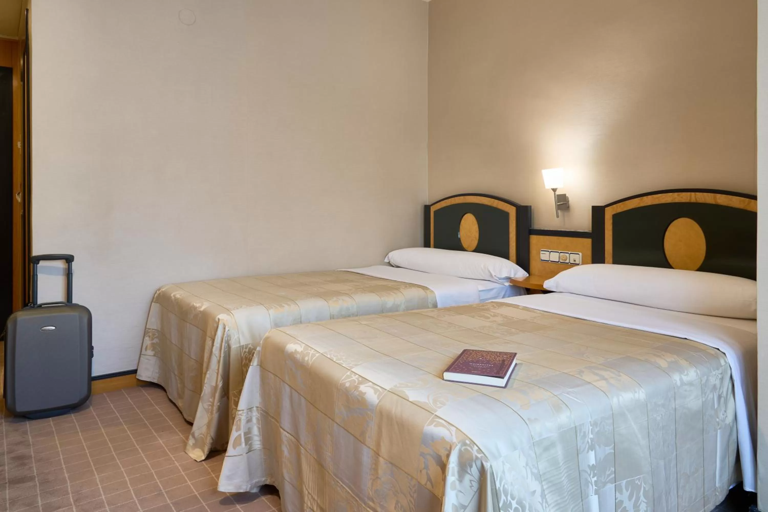 Double or Twin Room in Hotel Macià Cóndor