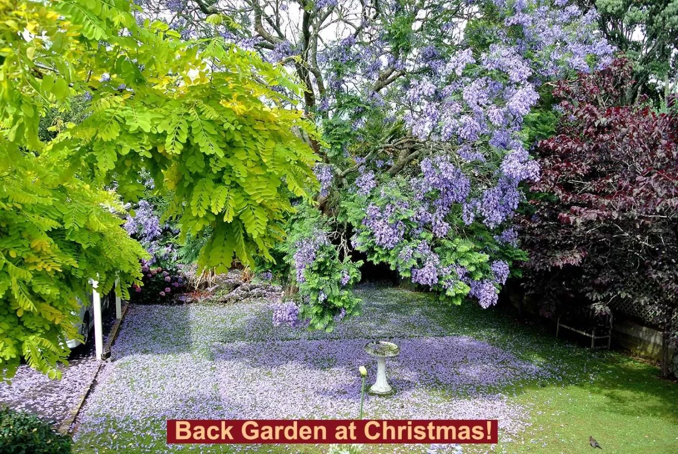 Garden in The Grange