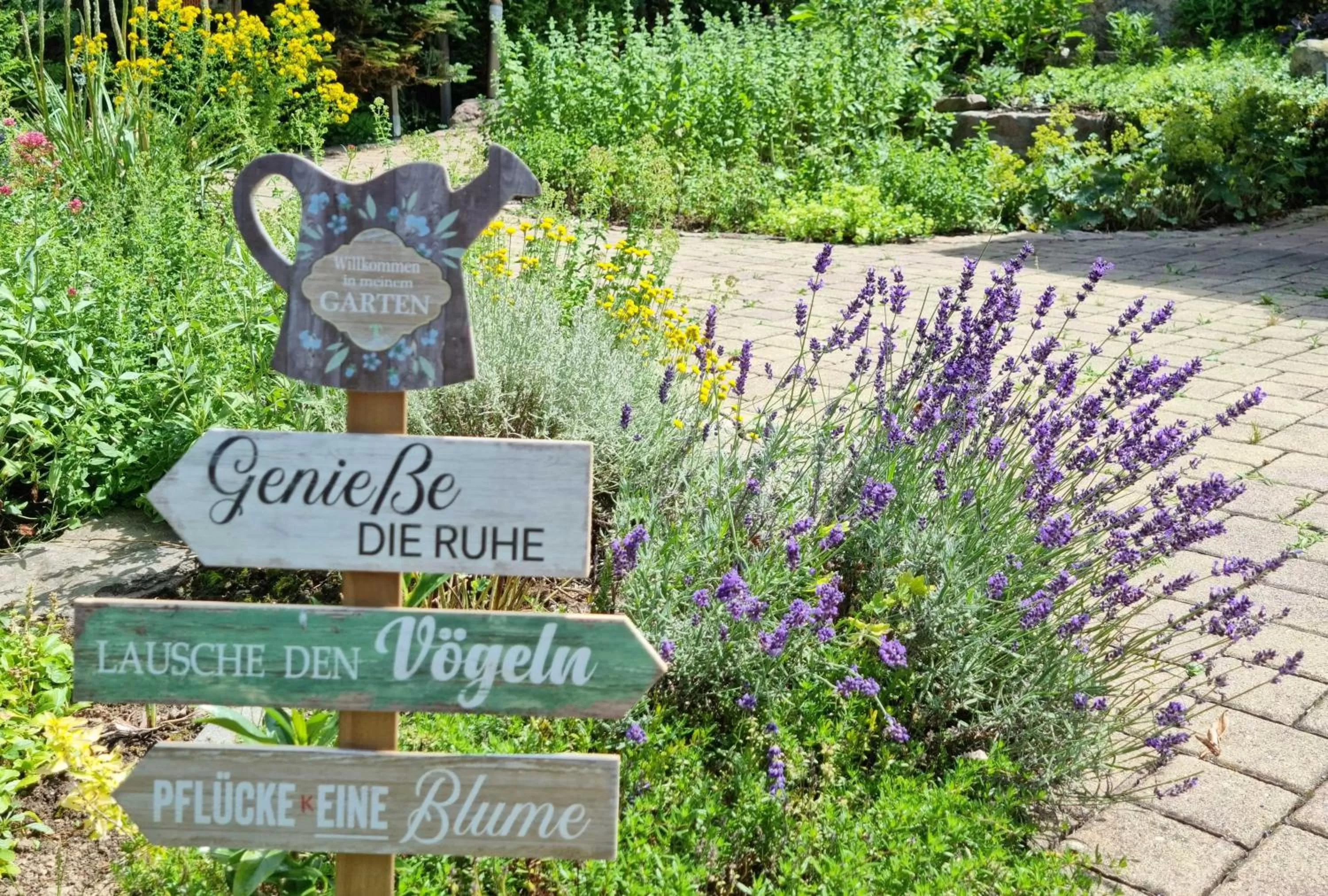 Garden view in Silberkönig Schwarzwald Hotel & Restaurant Ringhotel