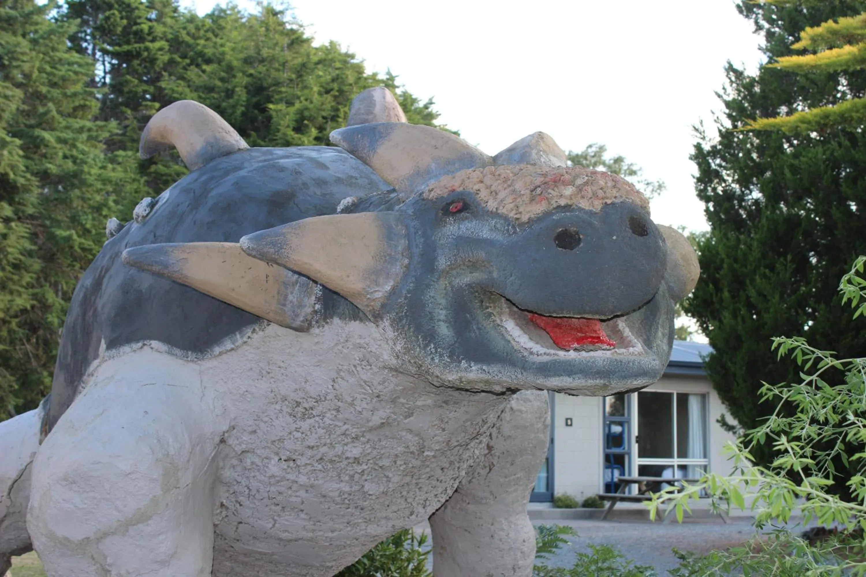 Animals in All Seasons Holiday Park