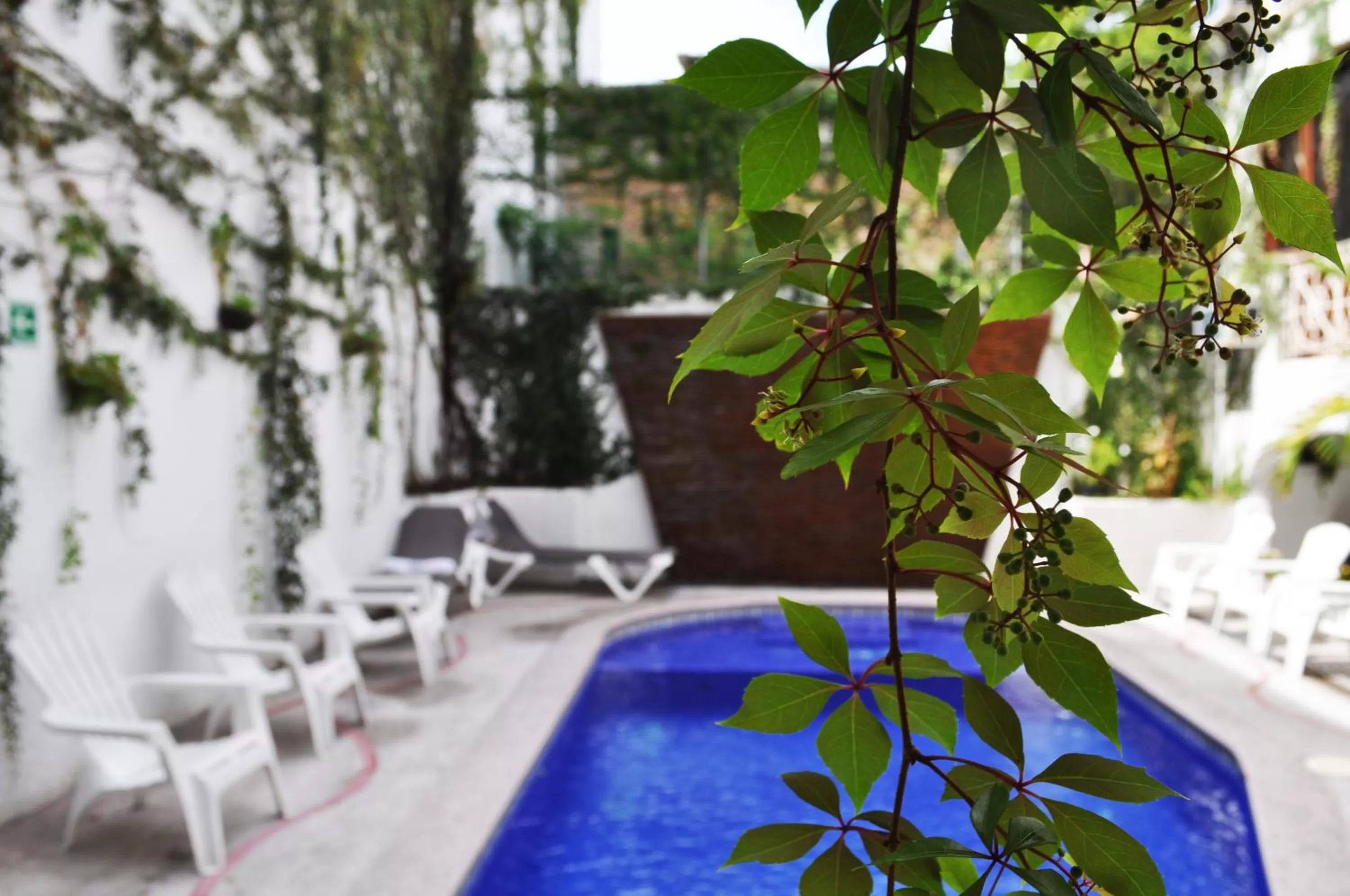 Swimming pool in Hotel Hacienda de Vallarta Centro