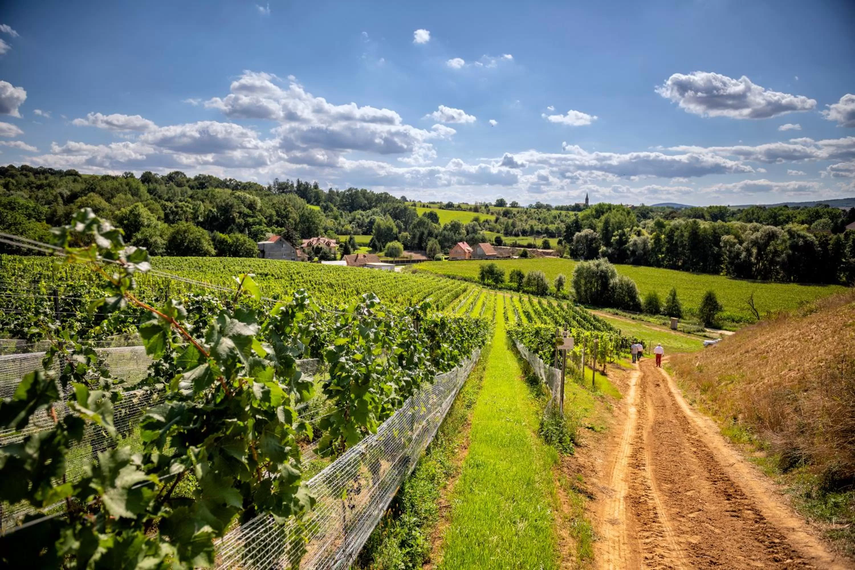 Spring in Hotel Niemcza Wino & Spa