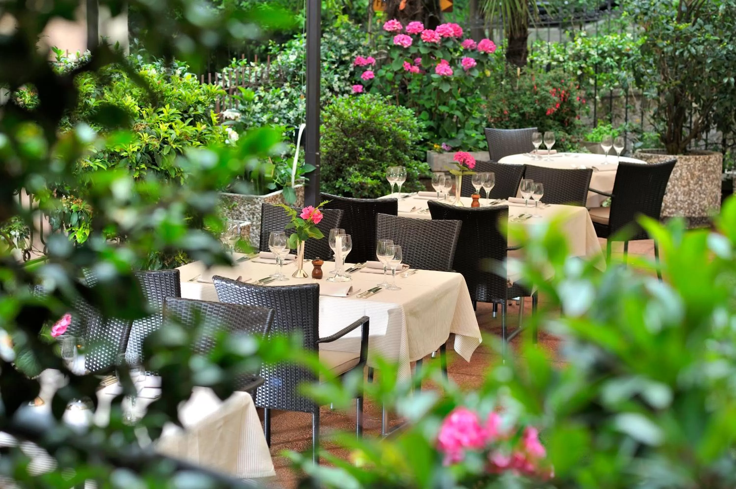 Restaurant/places to eat in Hotel Federale