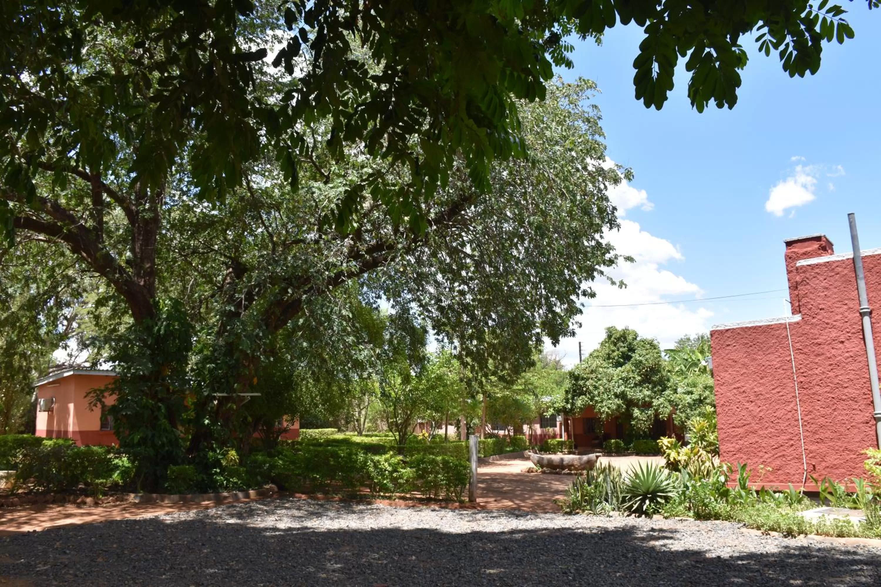 Garden, Property Building in Tabonina Bis