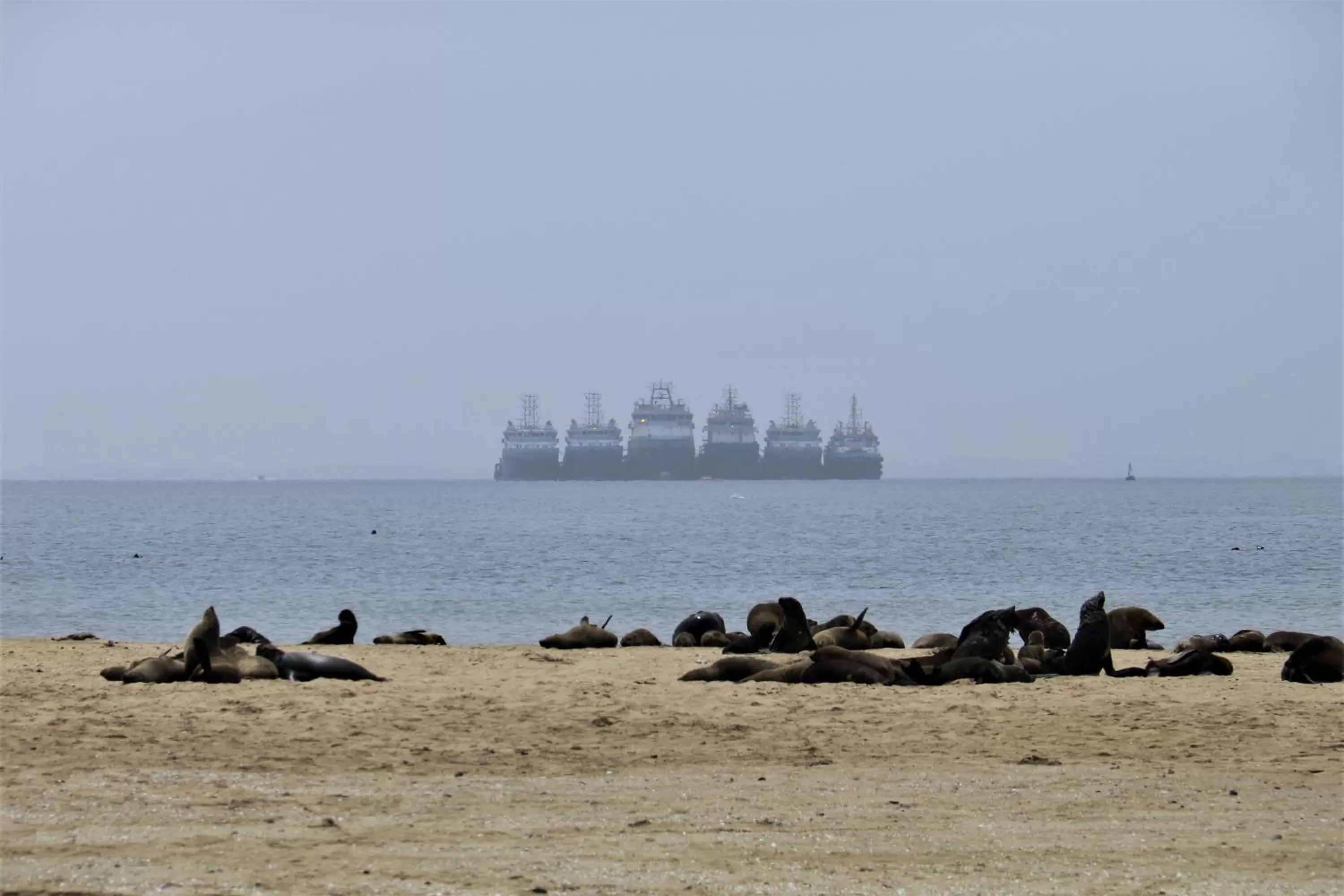 Other in Tiende Laan Bed & Breakfast and Self-Catering