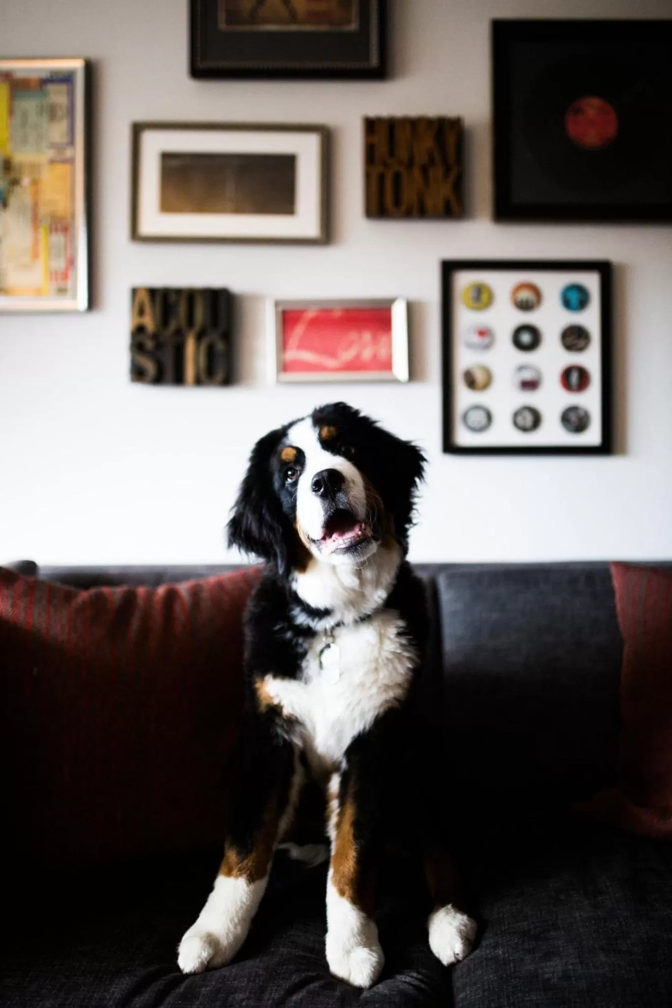 Bedroom in Loews Nashville Hotel at Vanderbilt Plaza
