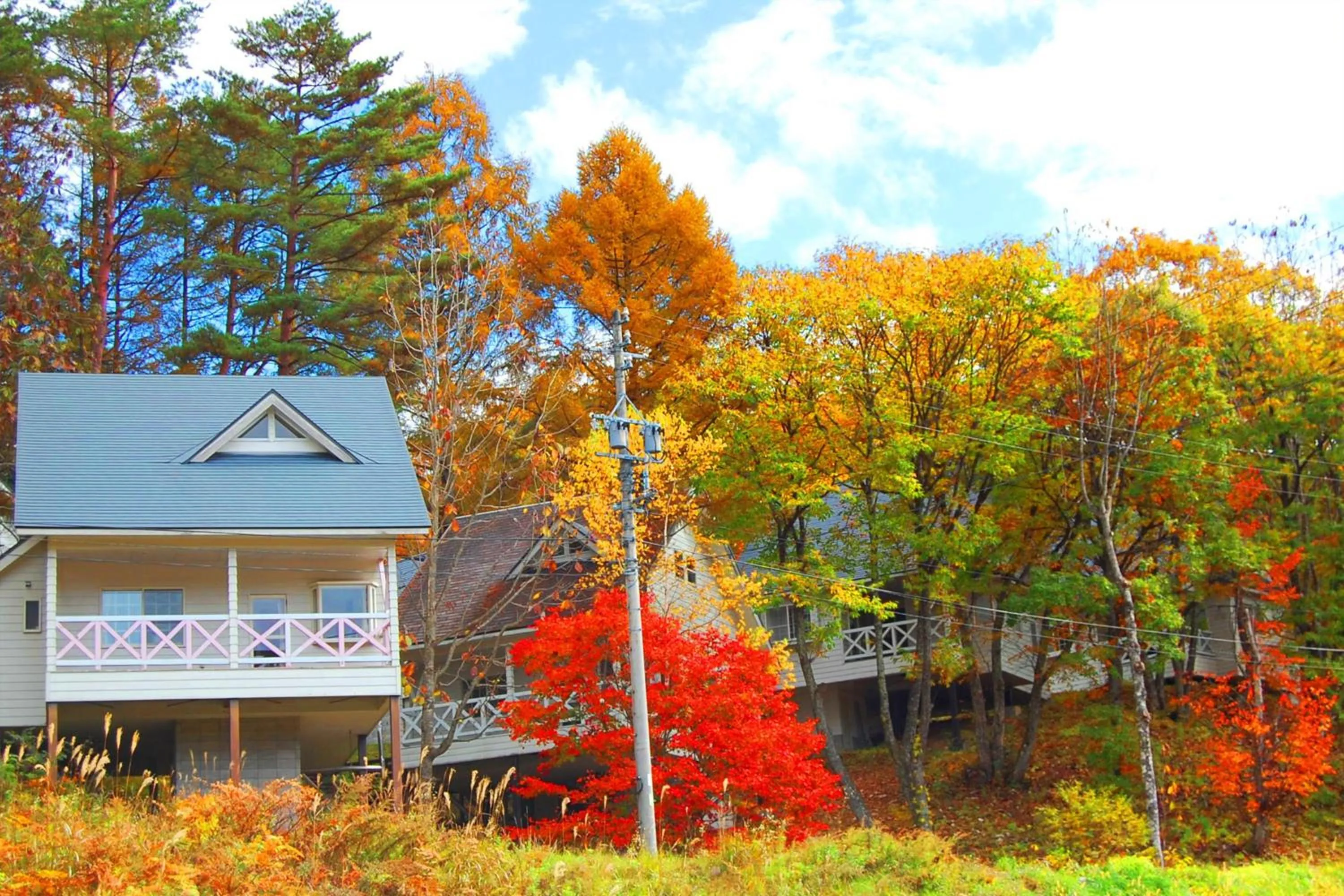 Autumn in Resort Villa Takayama