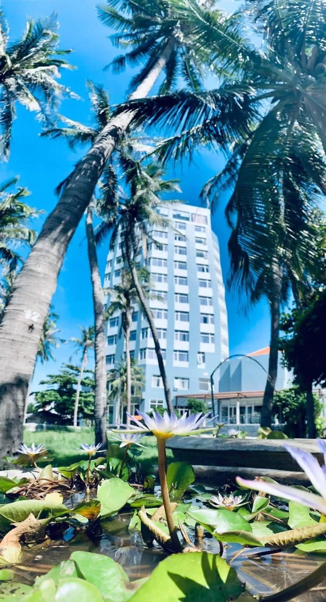 Property building in Sai Gon Phu Yen Hotel