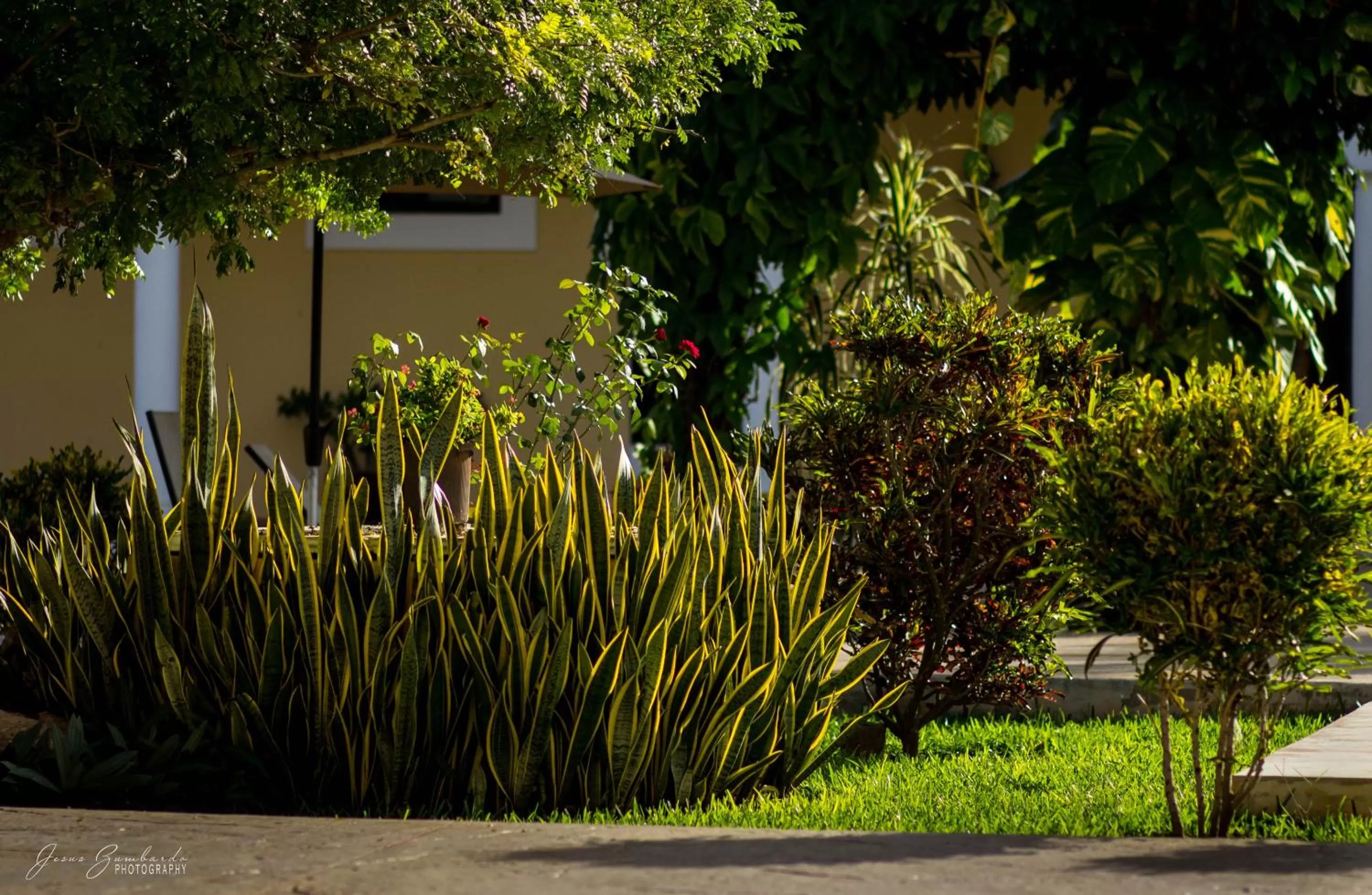 On site in Hotel Hacienda de Izamal