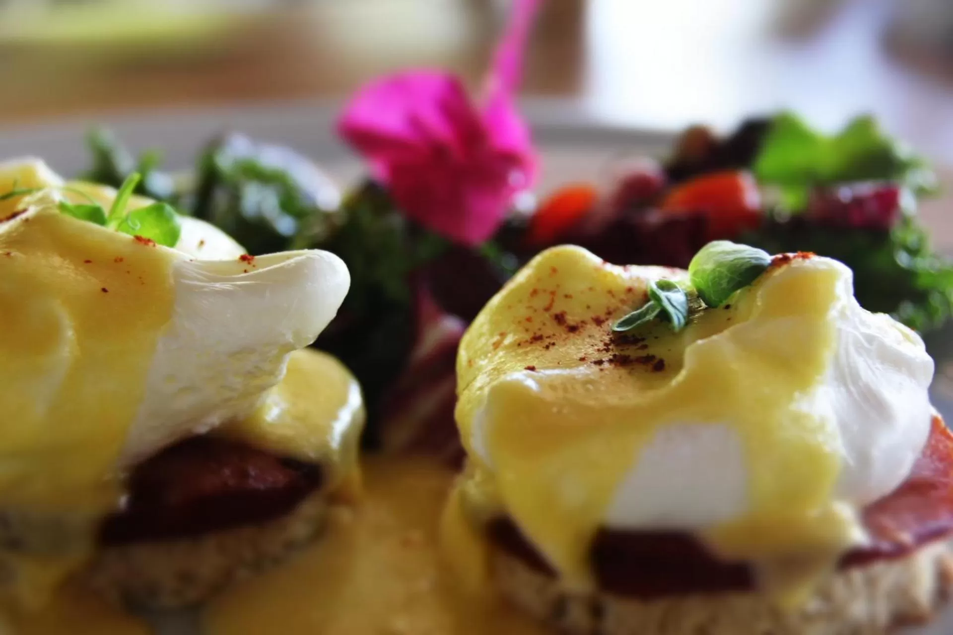 Restaurant/places to eat in Maria Del Mar Tulum - Adults Only