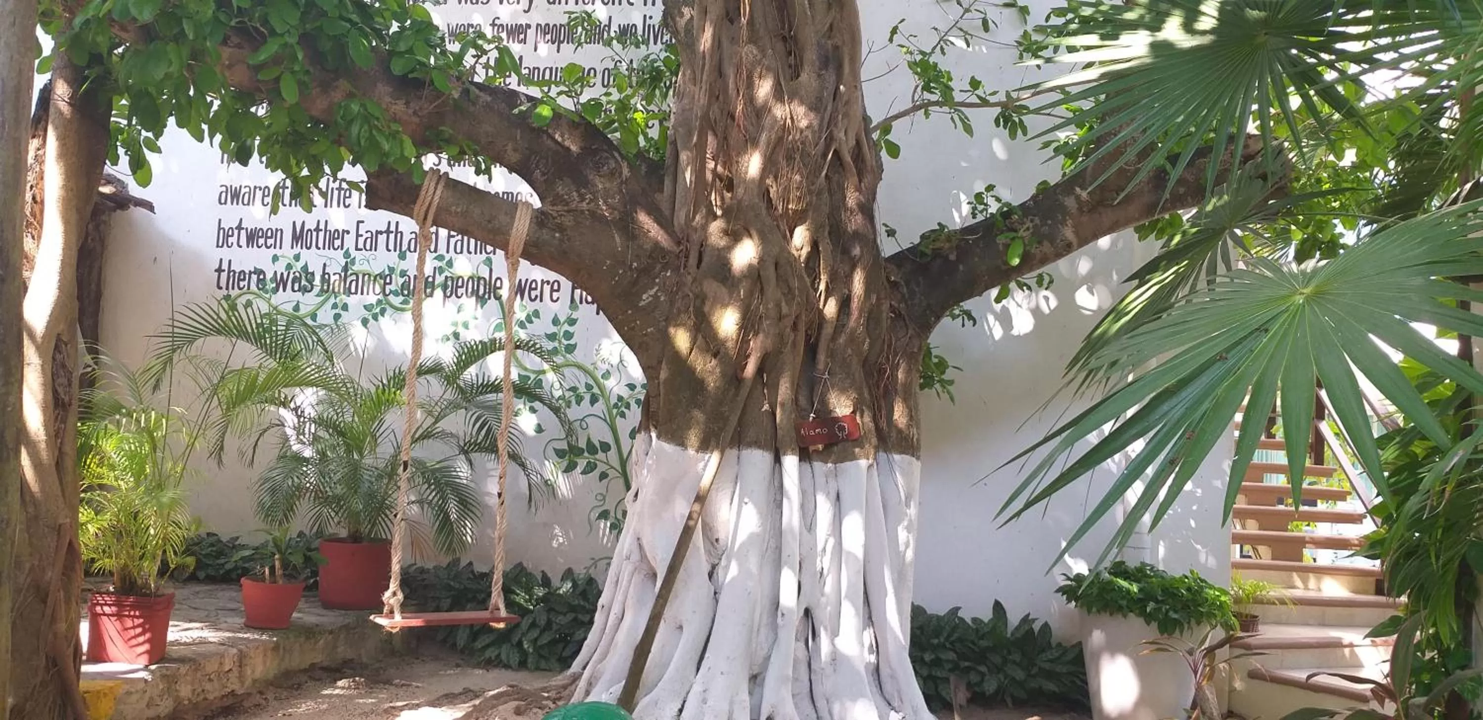 Garden in Posada Sian Kaan Playa del Carmen - Wellness Oriented Hotel