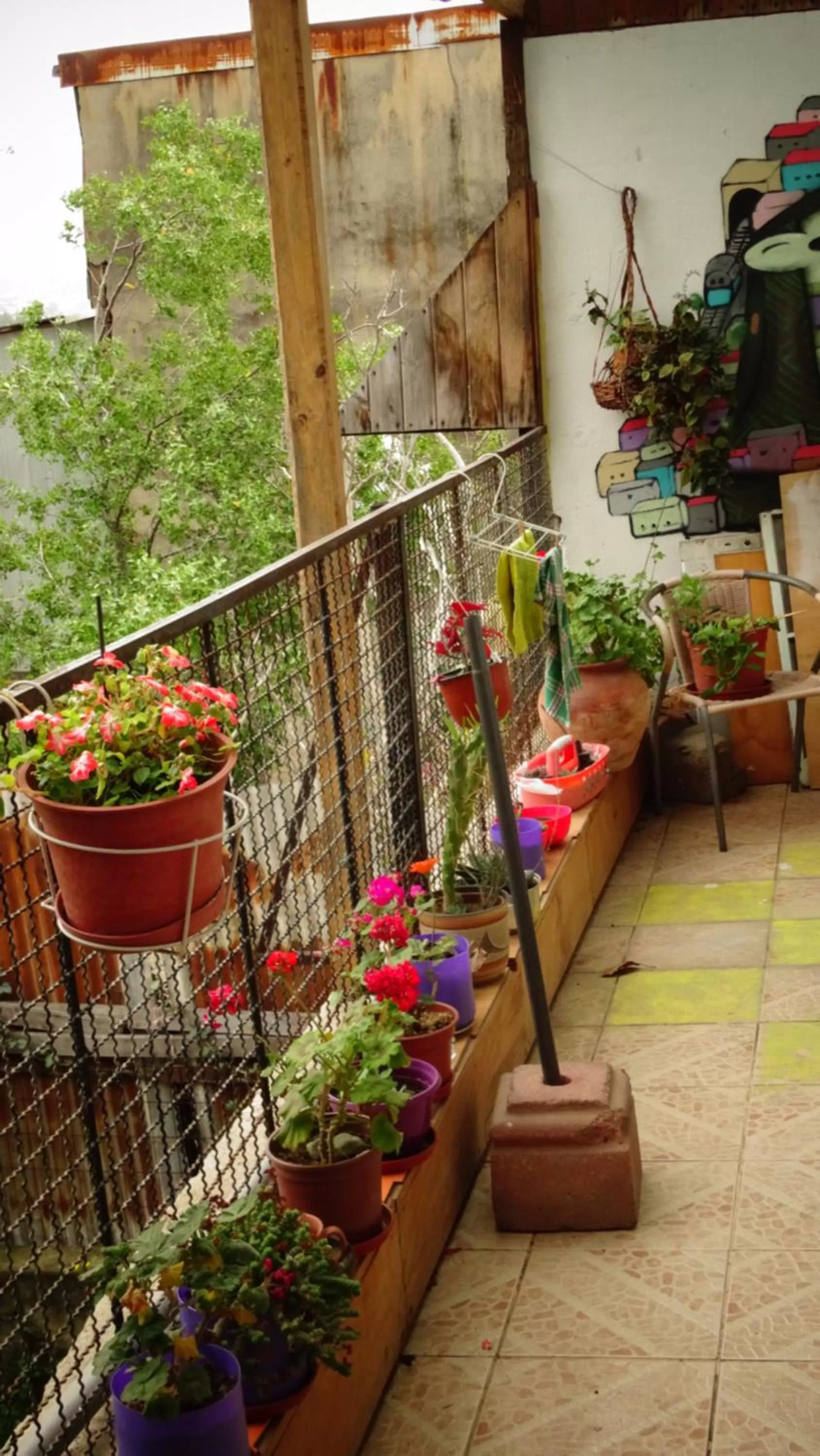 Spring in Hostal Destino Bellavista