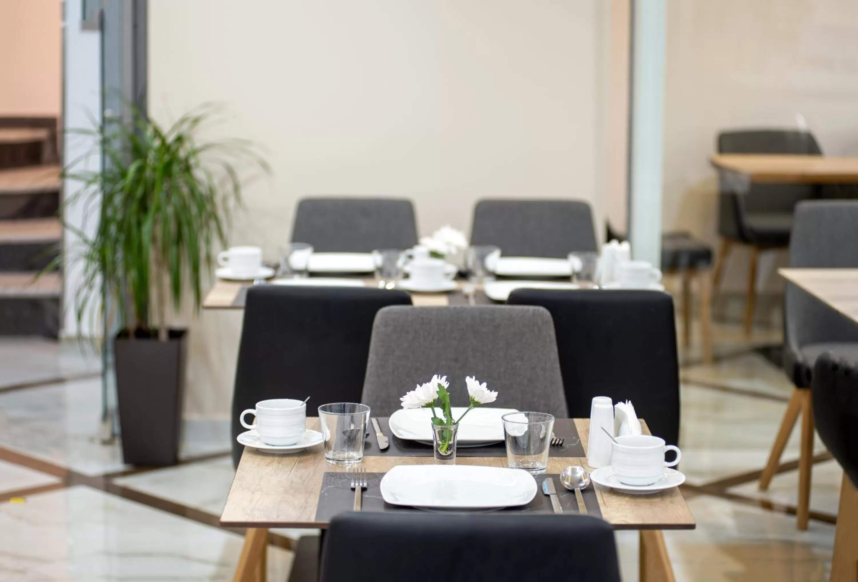 Breakfast in Athens Starlight Hotel