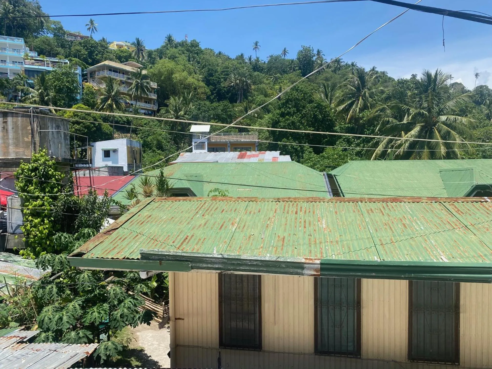 View (from property/room) in Papa Freds Beach Resort