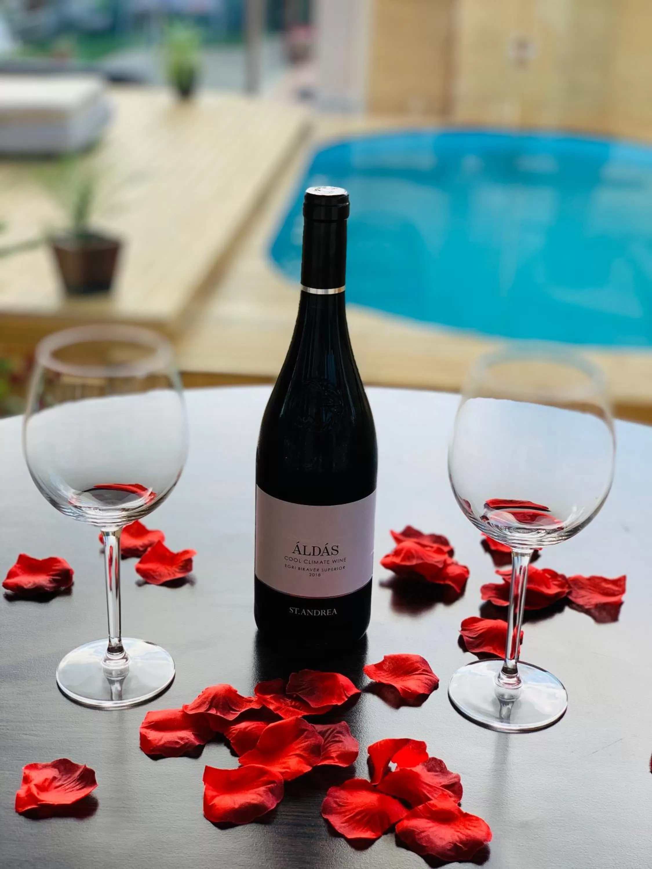 Swimming pool, Drinks in Egria Apartments