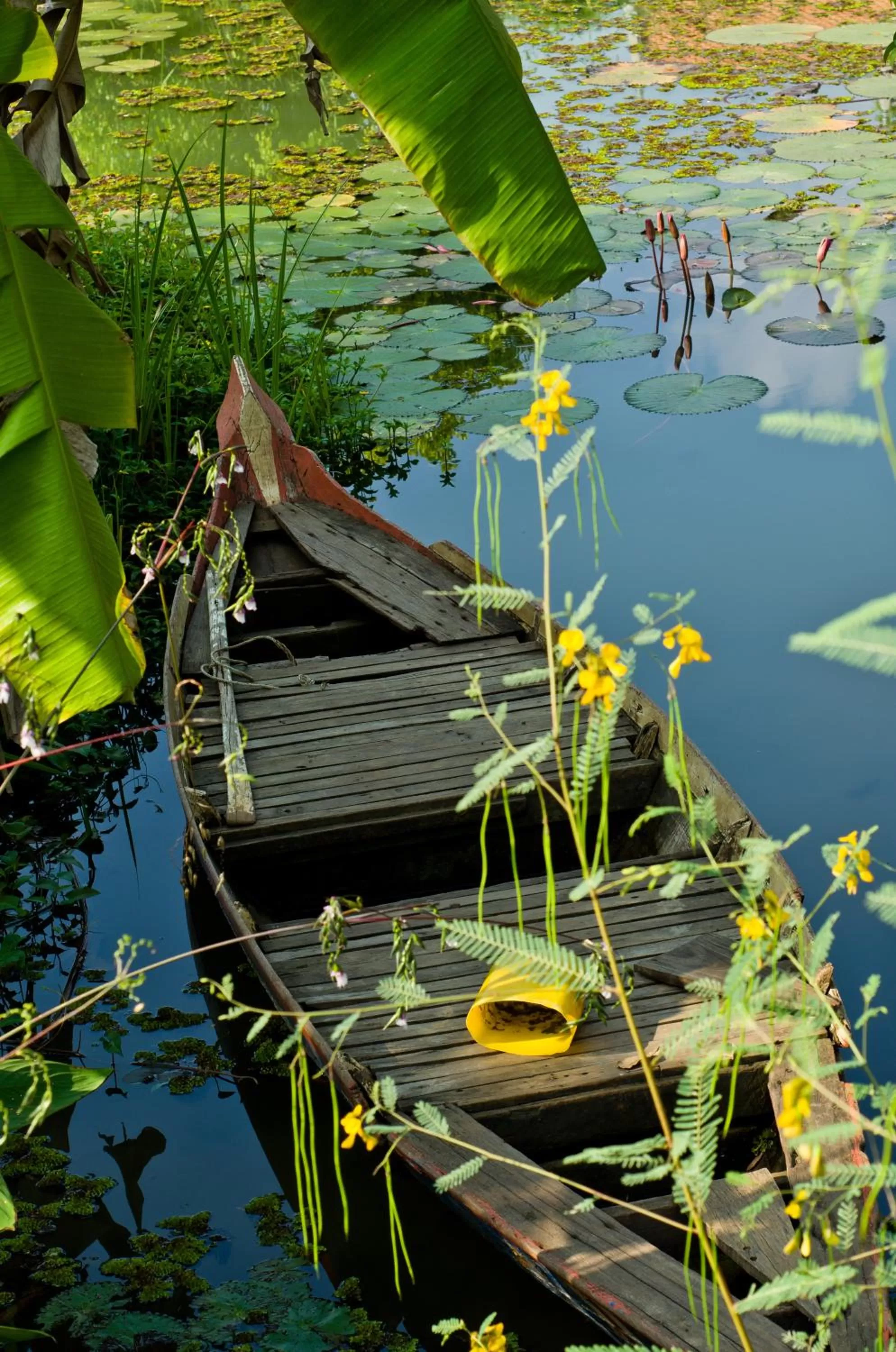 Other in Battambang Resort