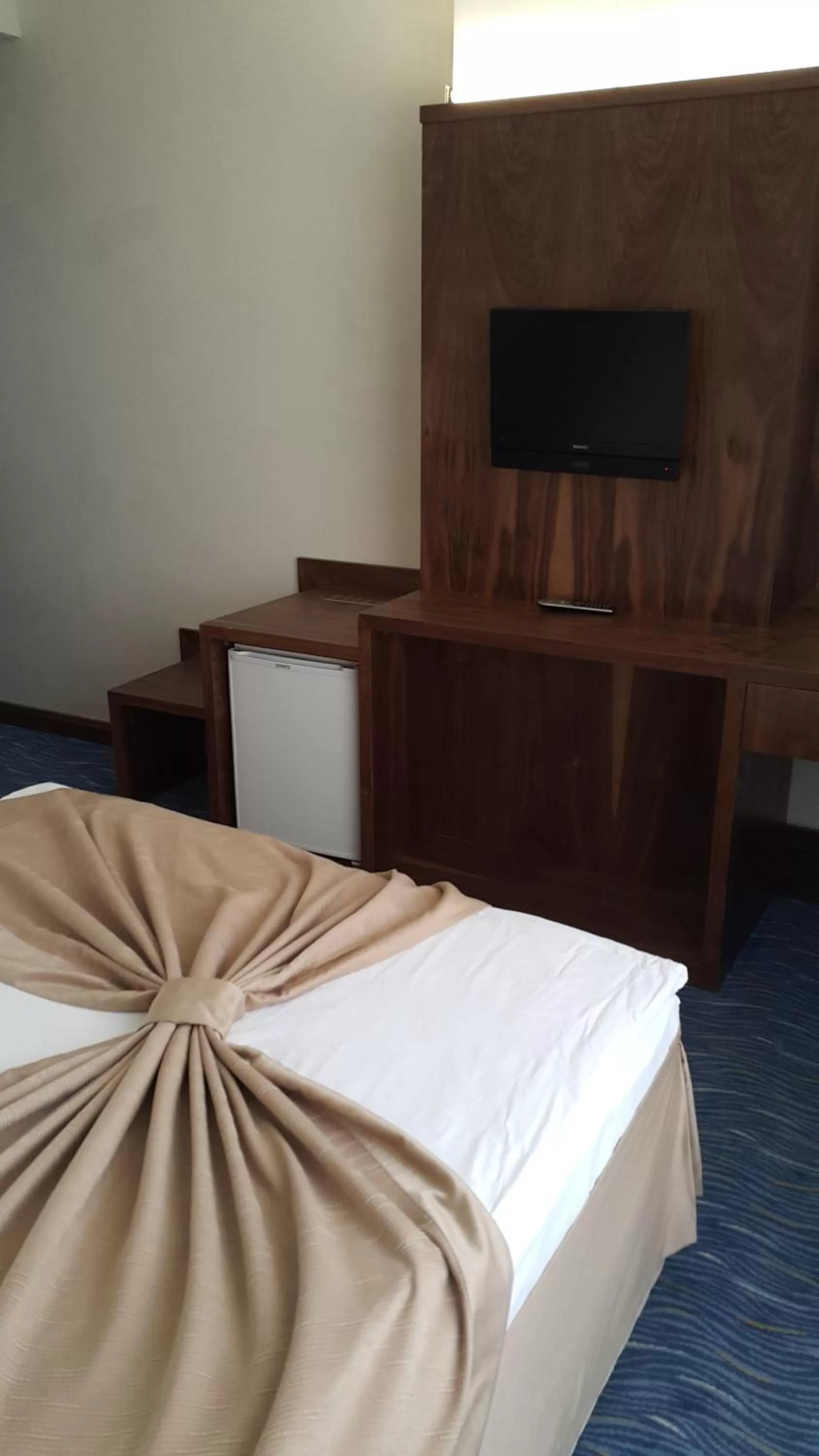 TV and multimedia, TV/Entertainment Center in Miroglu Hotel