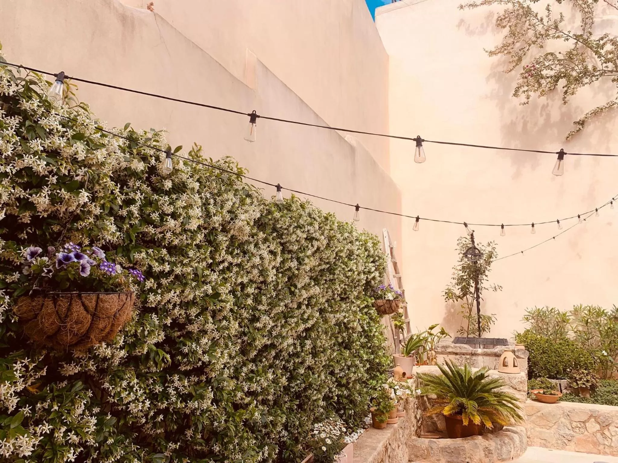 Property building in Atrium Suites Mallorca