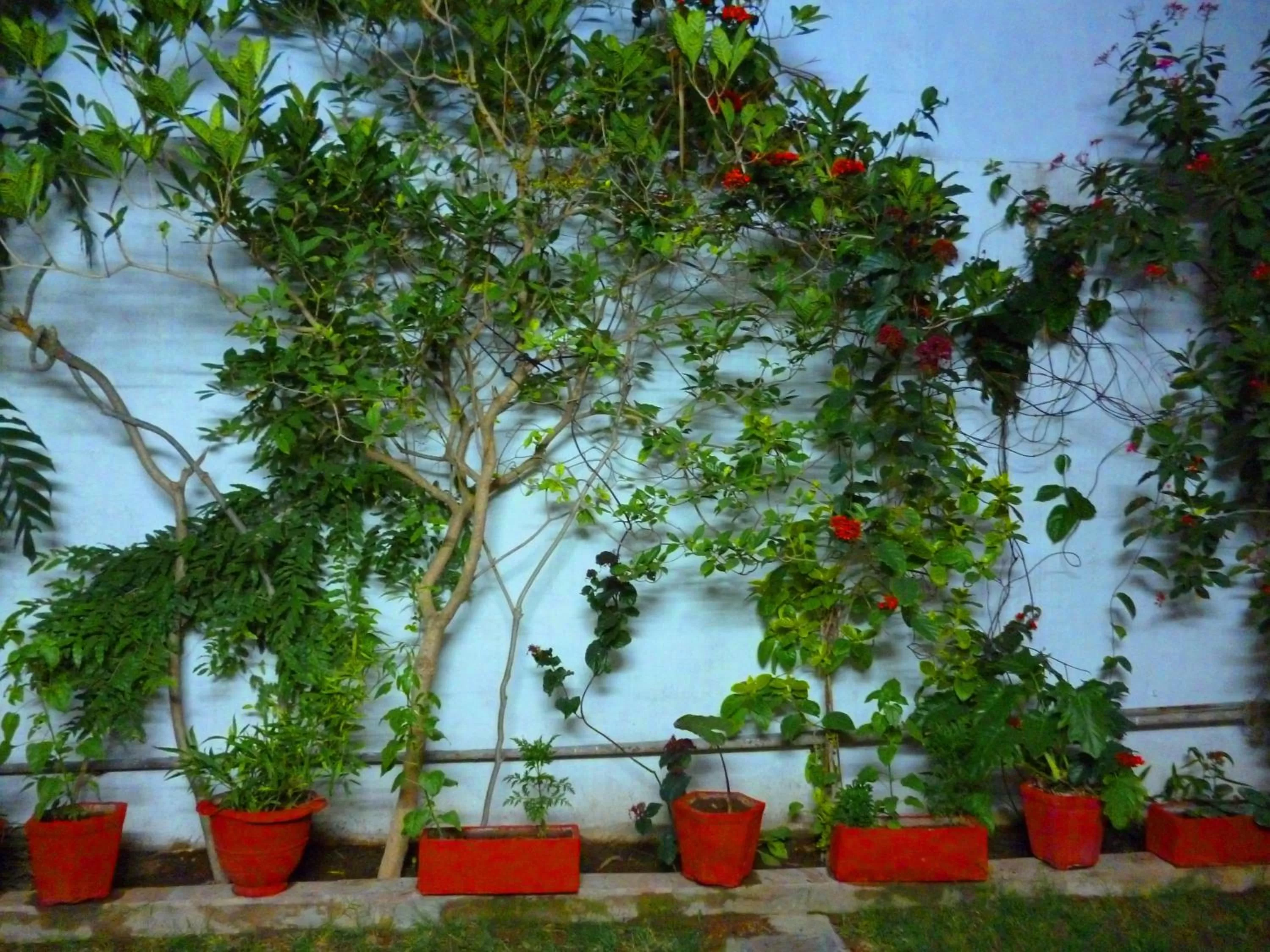 Other in Hotel Harmony