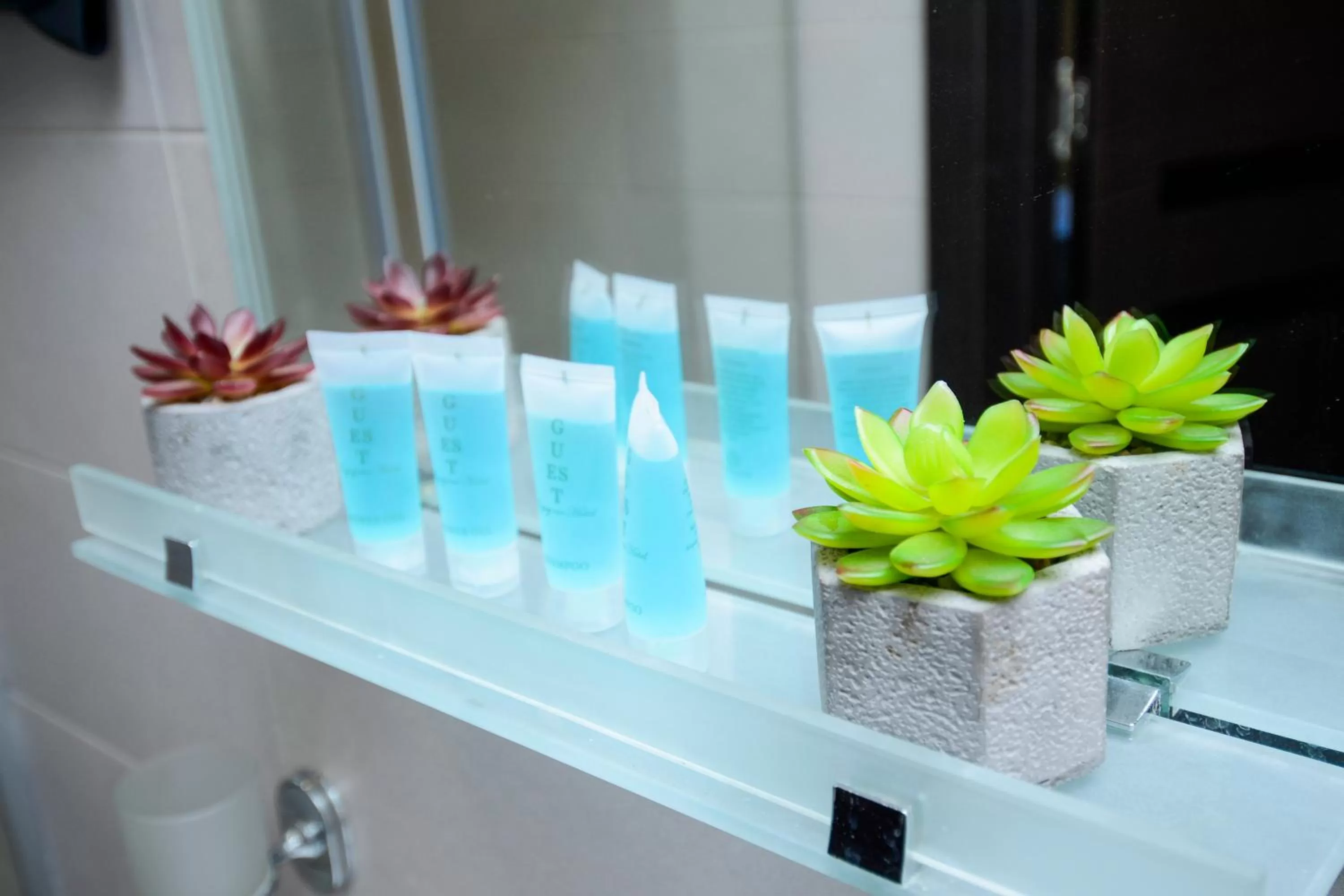 Massage, Bathroom in Hotel Avlabari Terrace