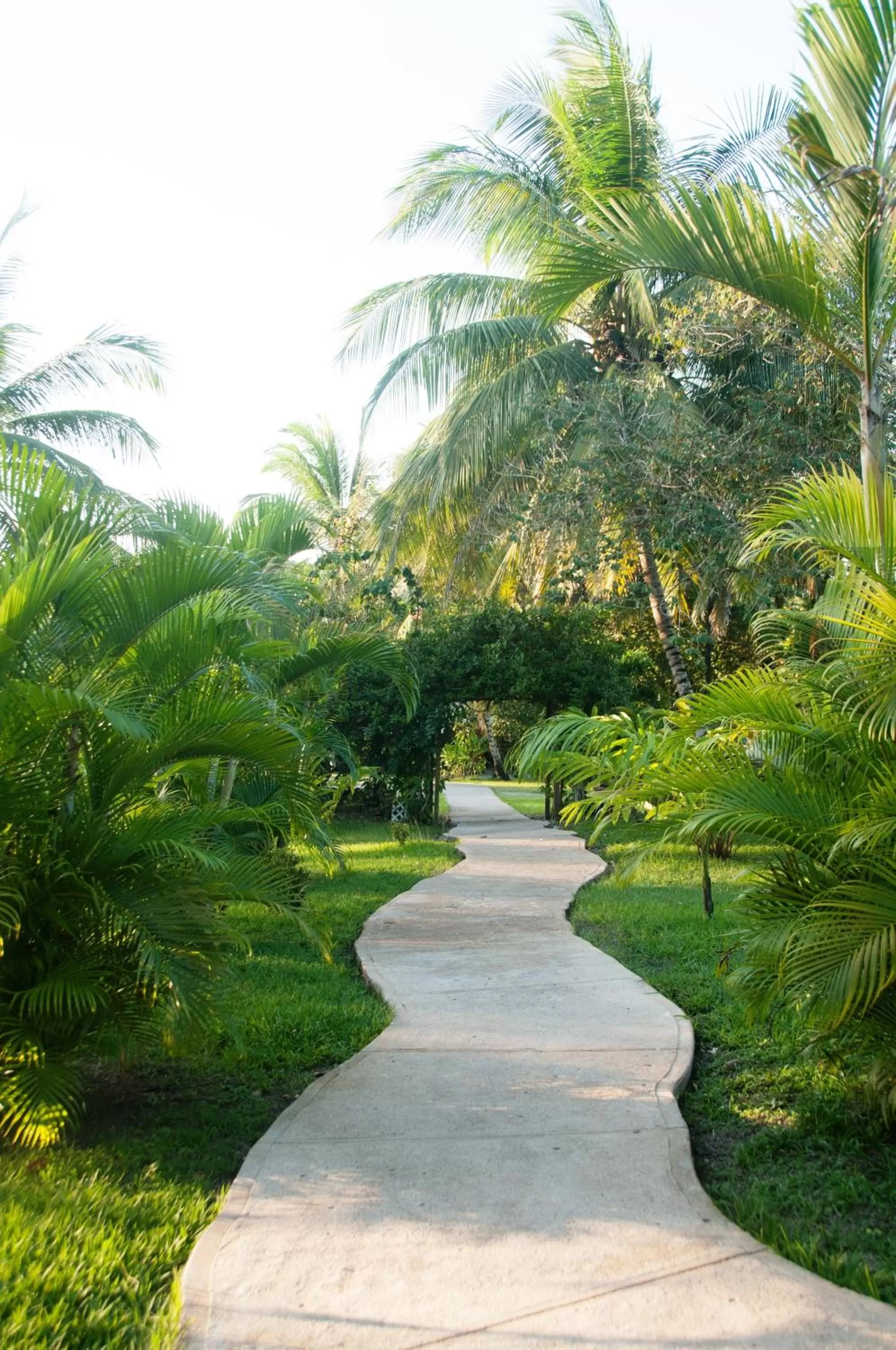 Facade/entrance in The Log Cab-Inn