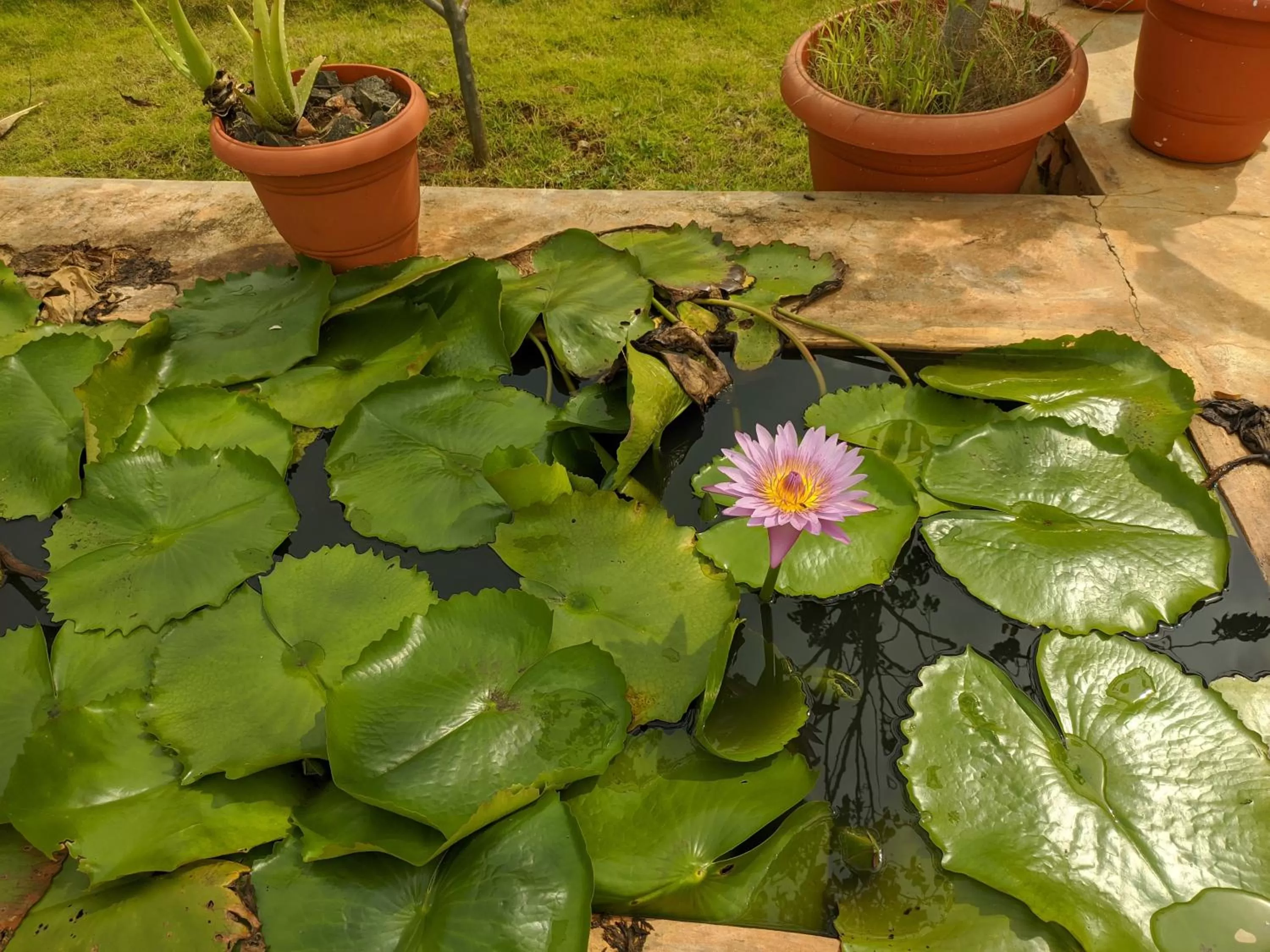 Garden view in Kanthi Resorts Badami