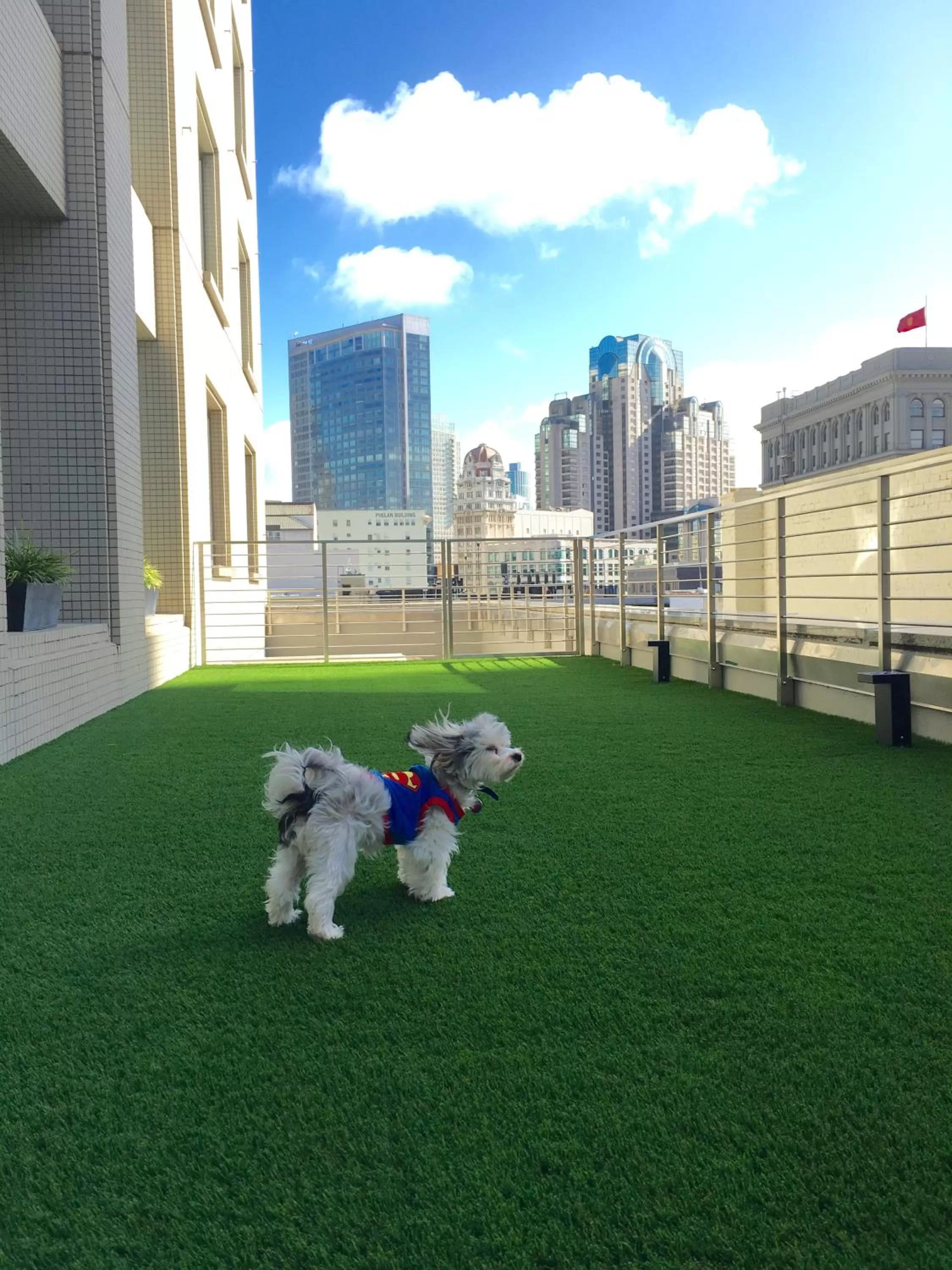 Other in Hotel Nikko San Francisco