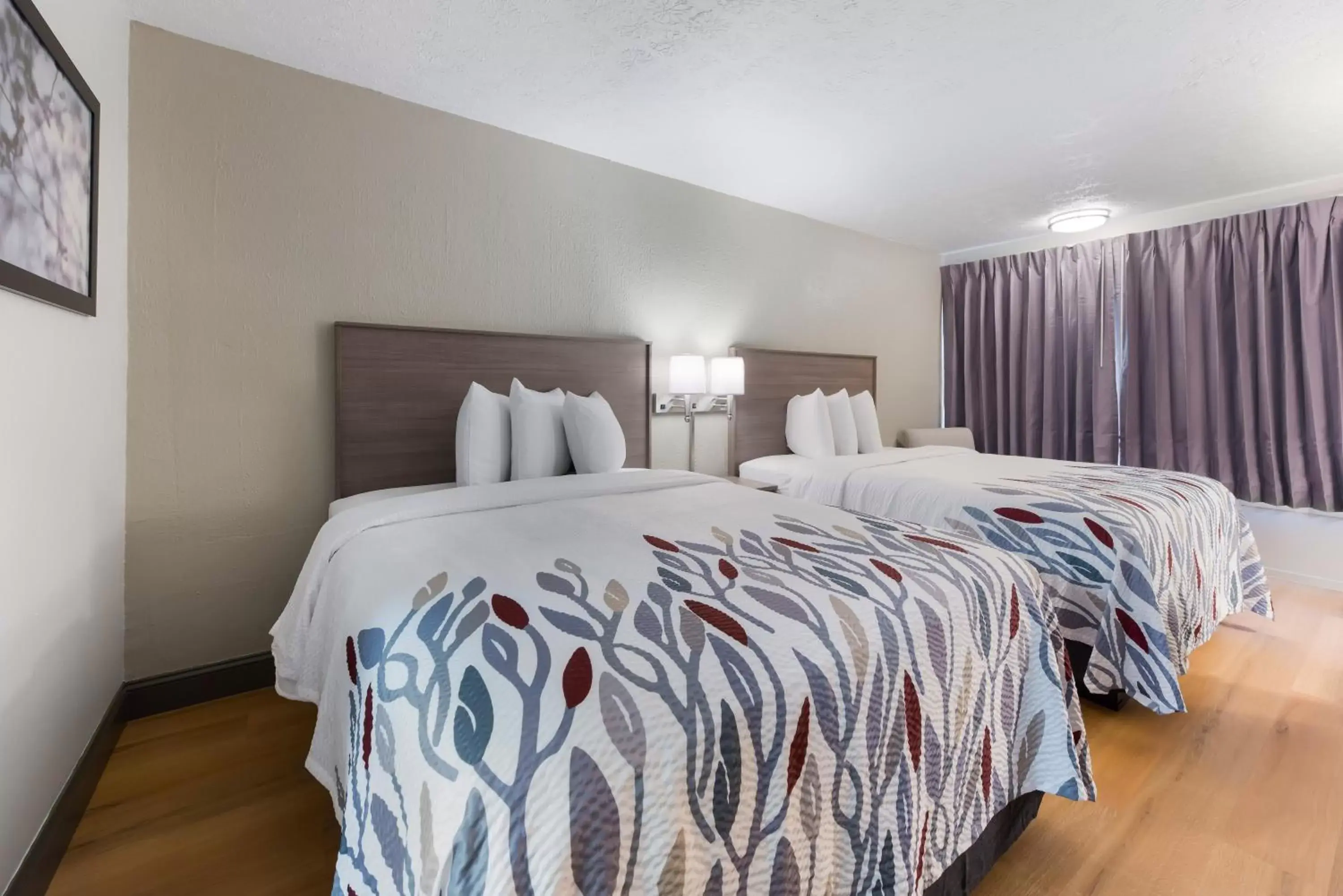 Queen Room with Two Queen Beds - Smoke Free in Red Roof Inn Dayton - Moraine/U of Dayton Queen Room with Two Queen Beds - Smoke Free in Red Roof Inn Dayton - Moraine/U of Dayton