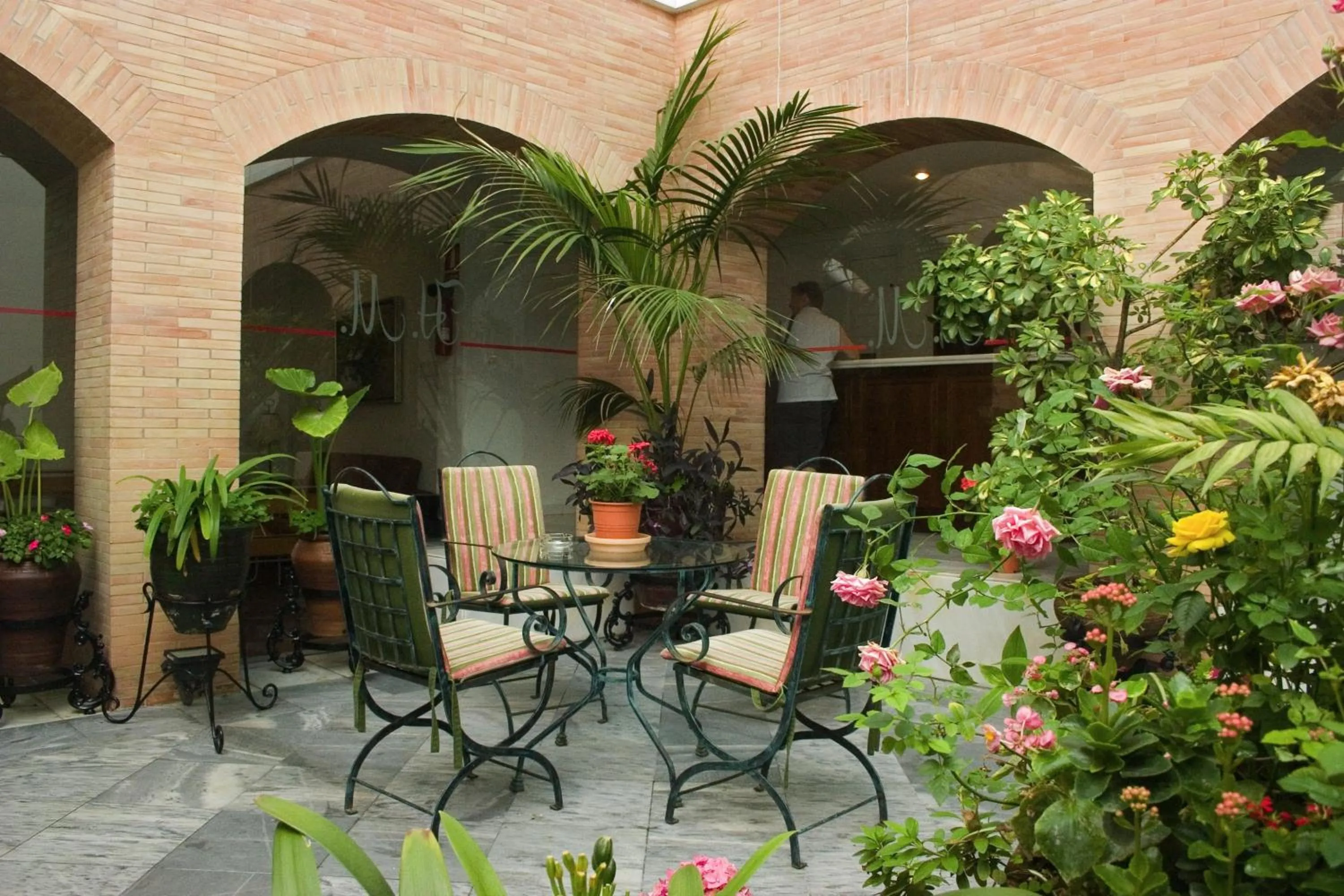 Patio in Hotel Maestre