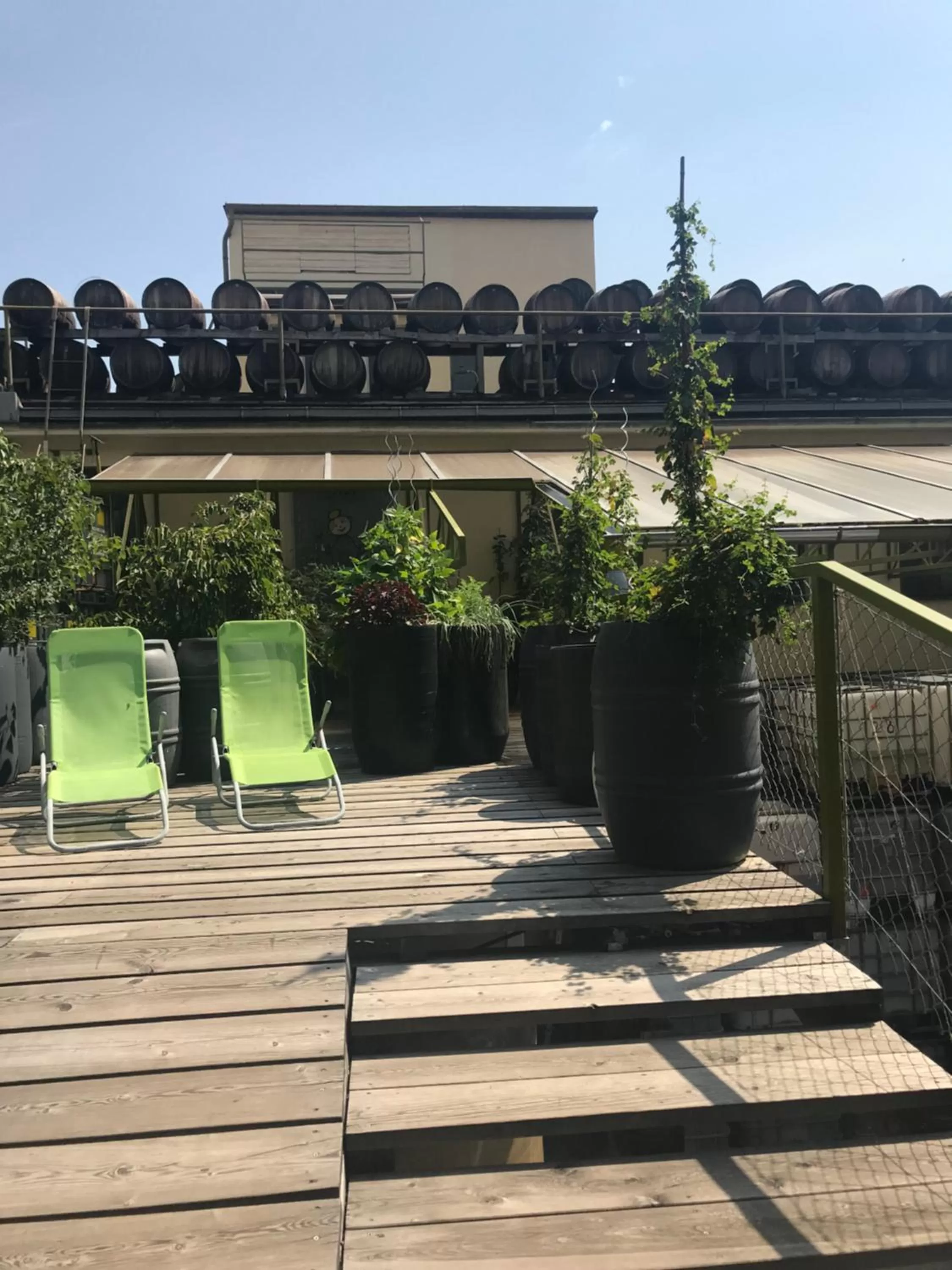 Balcony/Terrace in Wiener Gäste Zimmer