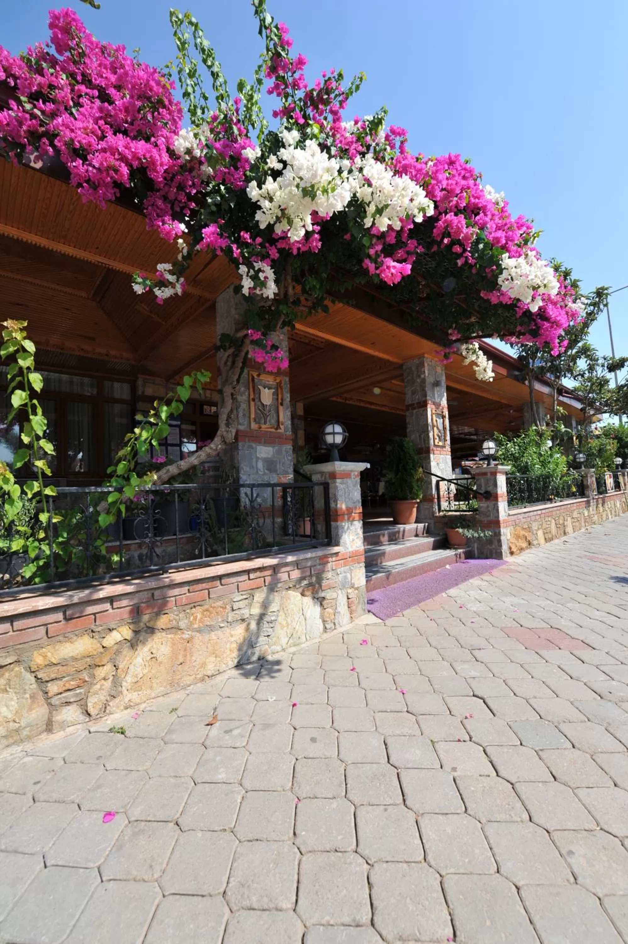 Facade/entrance in Magic Tulip Beach Hotel
